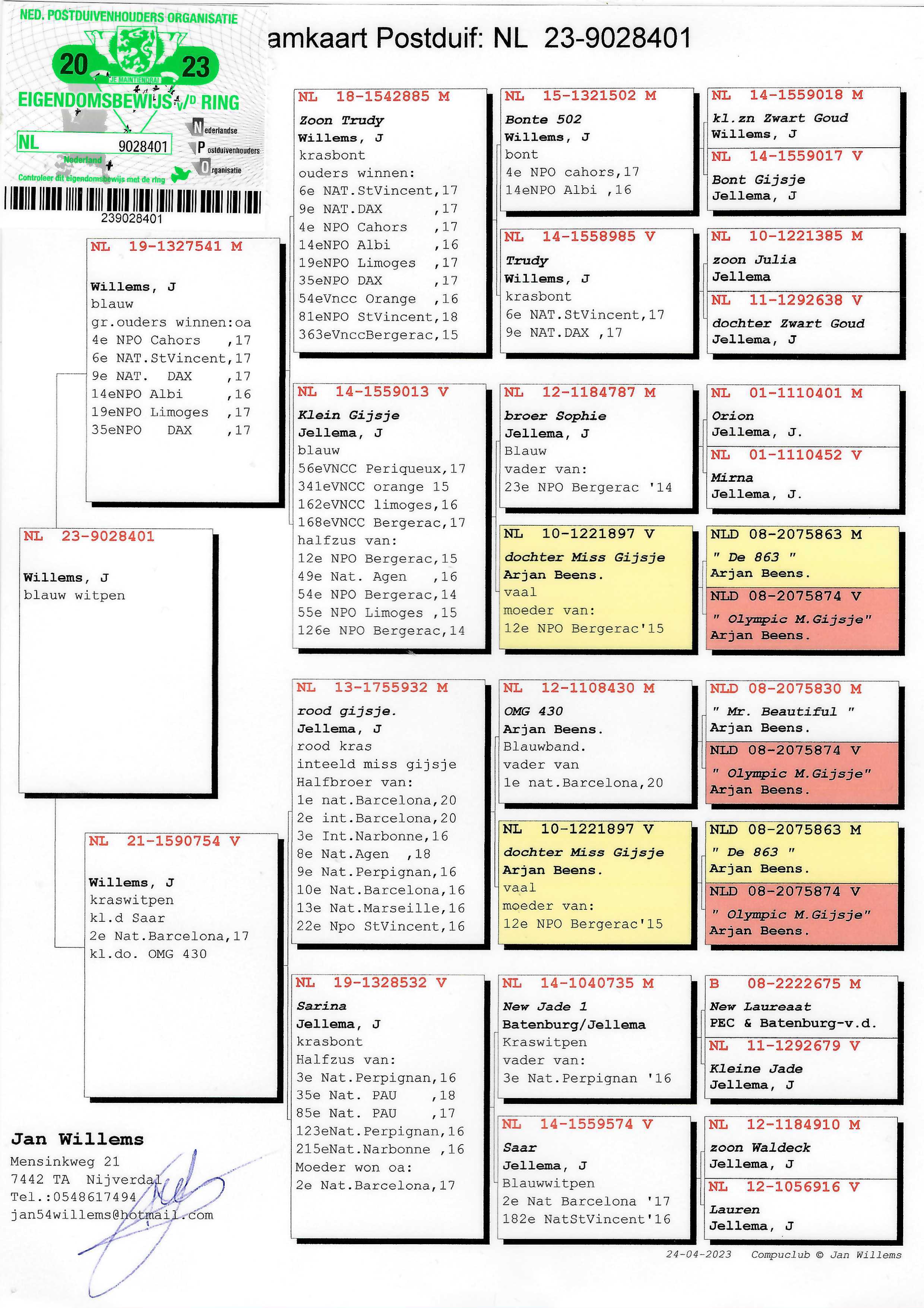 Pigeon pedigree image