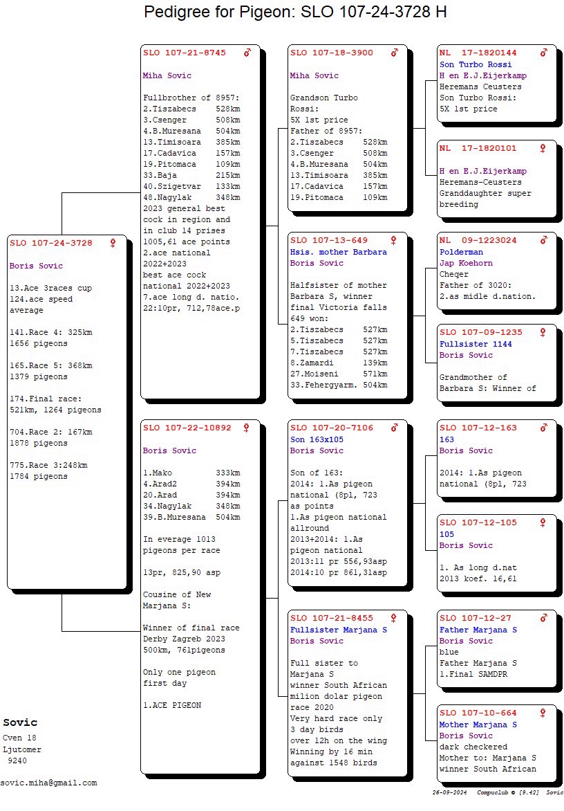 Pigeon pedigree image
