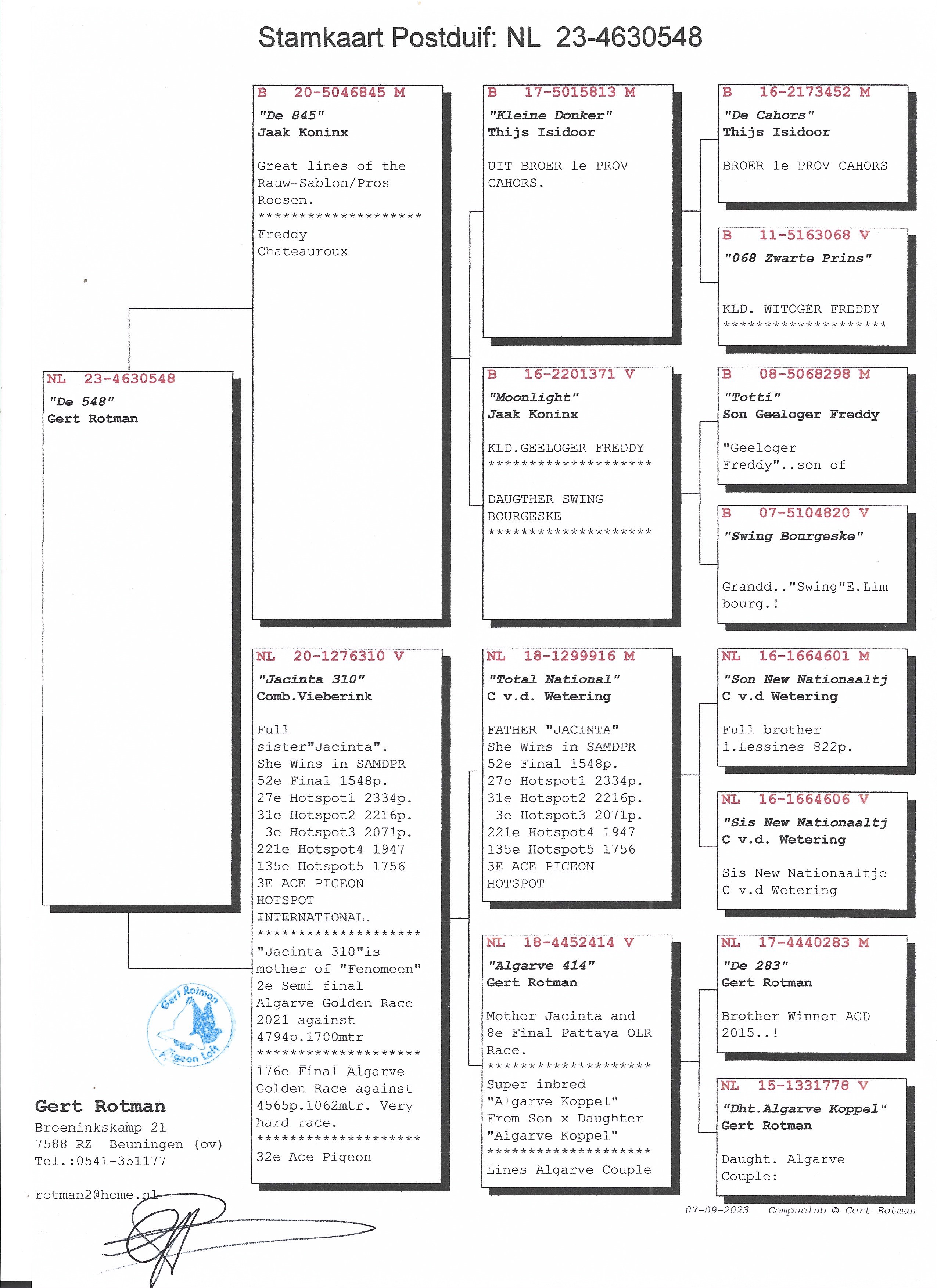 Pigeon pedigree image