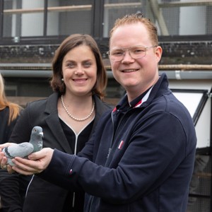 Pigeon image