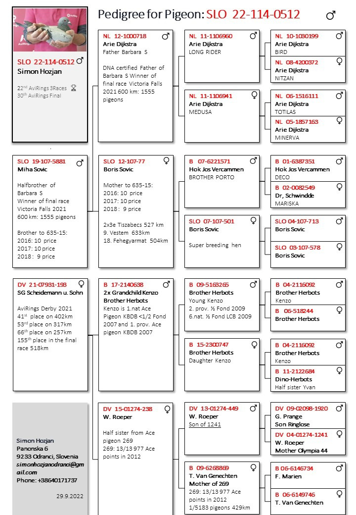 Pigeon pedigree image