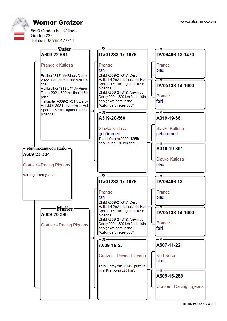 Pigeon pedigree image