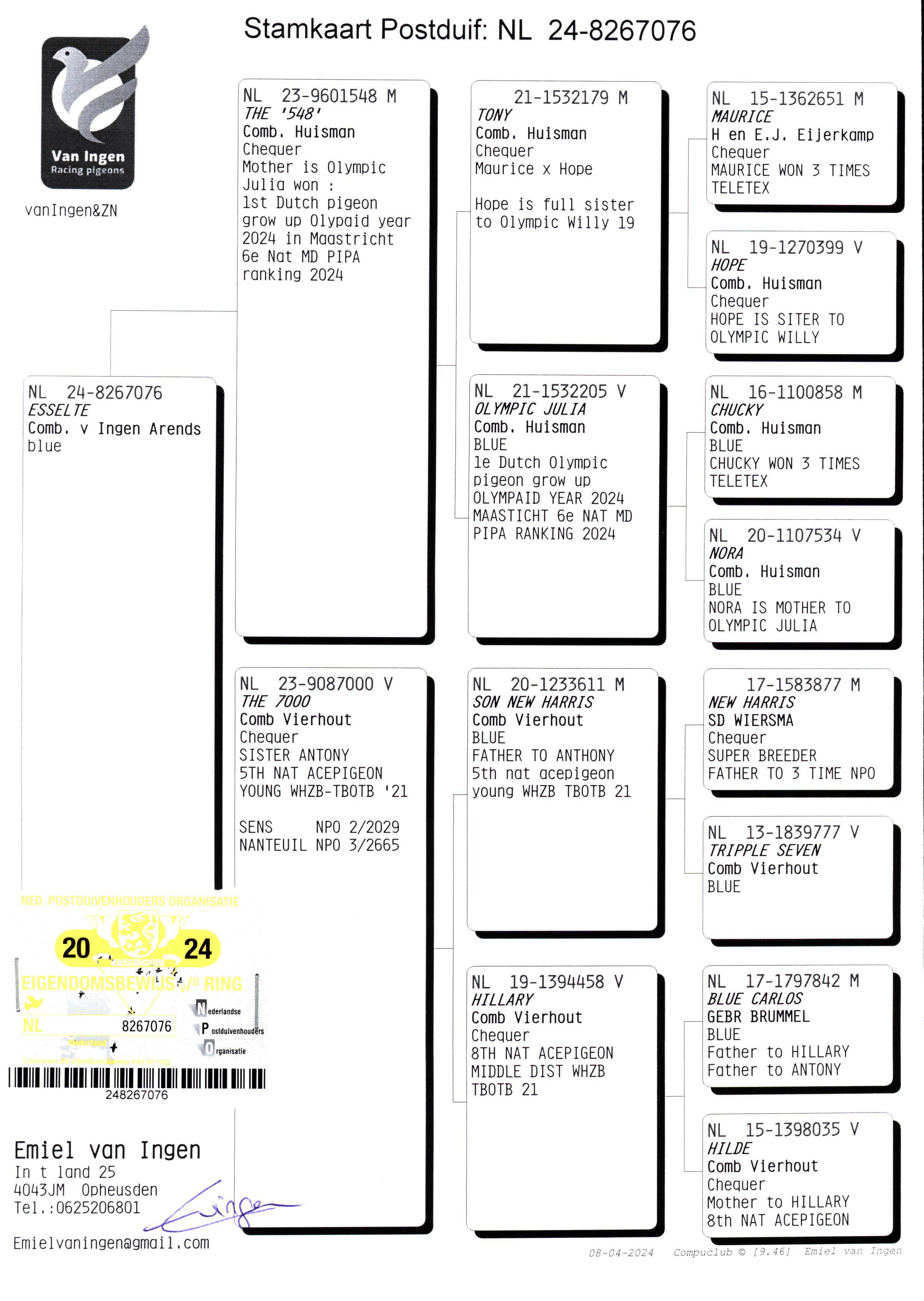 Pigeon pedigree image