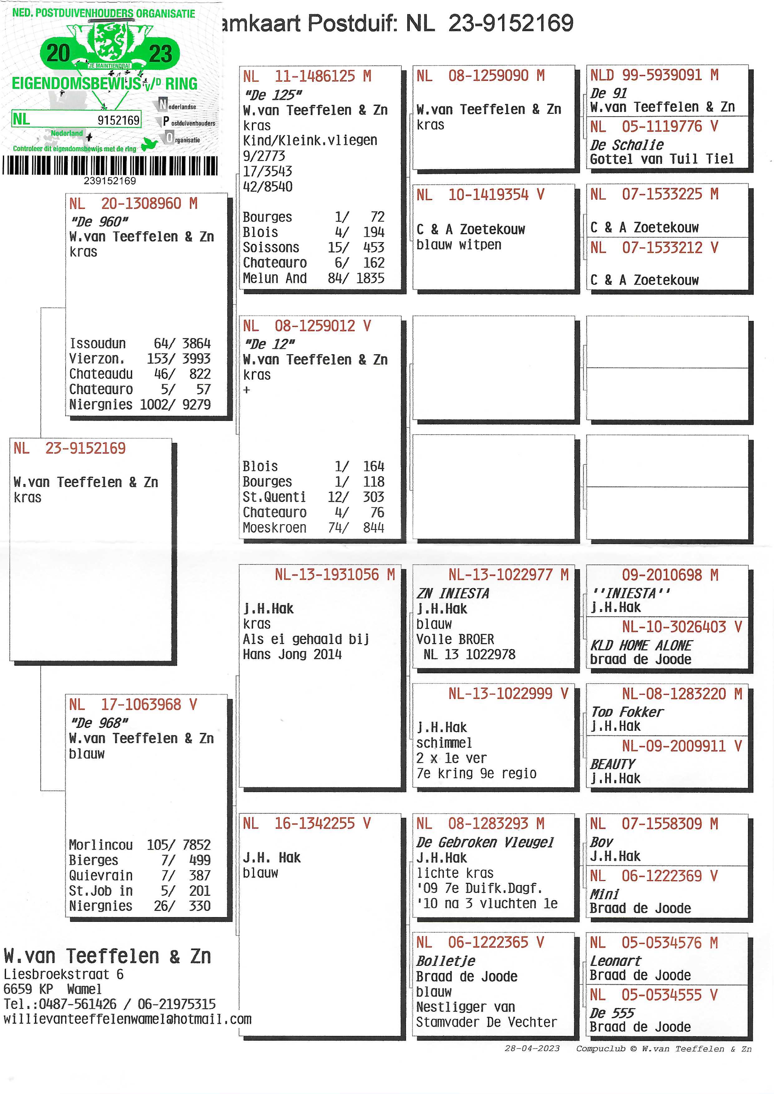 Pigeon pedigree image