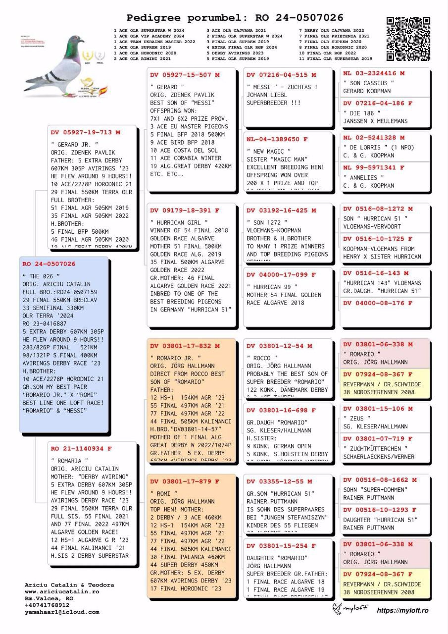 Pigeon pedigree image