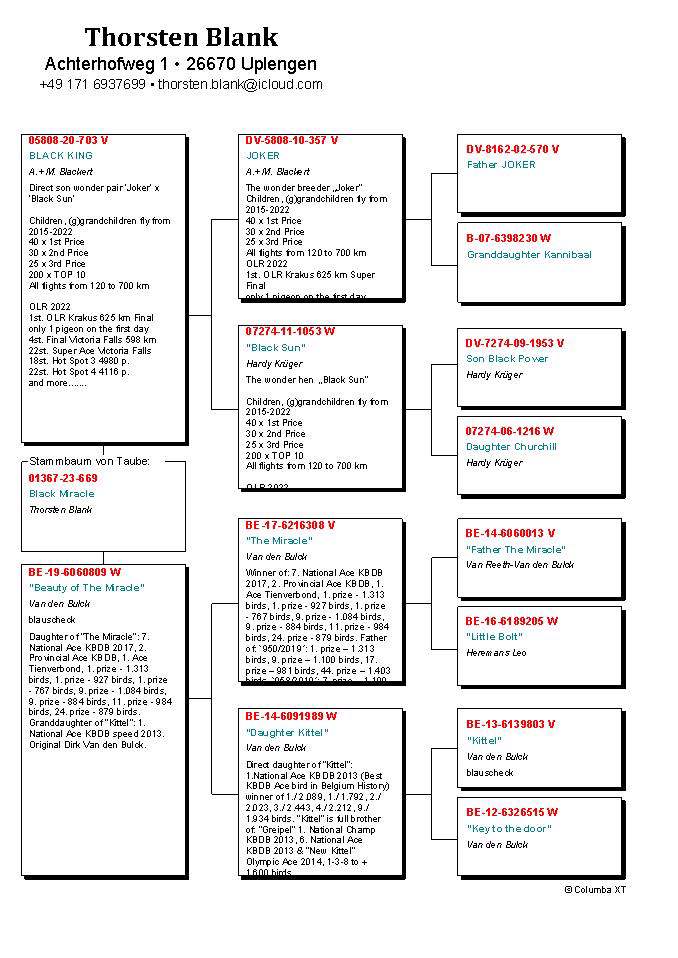 Pigeon pedigree image
