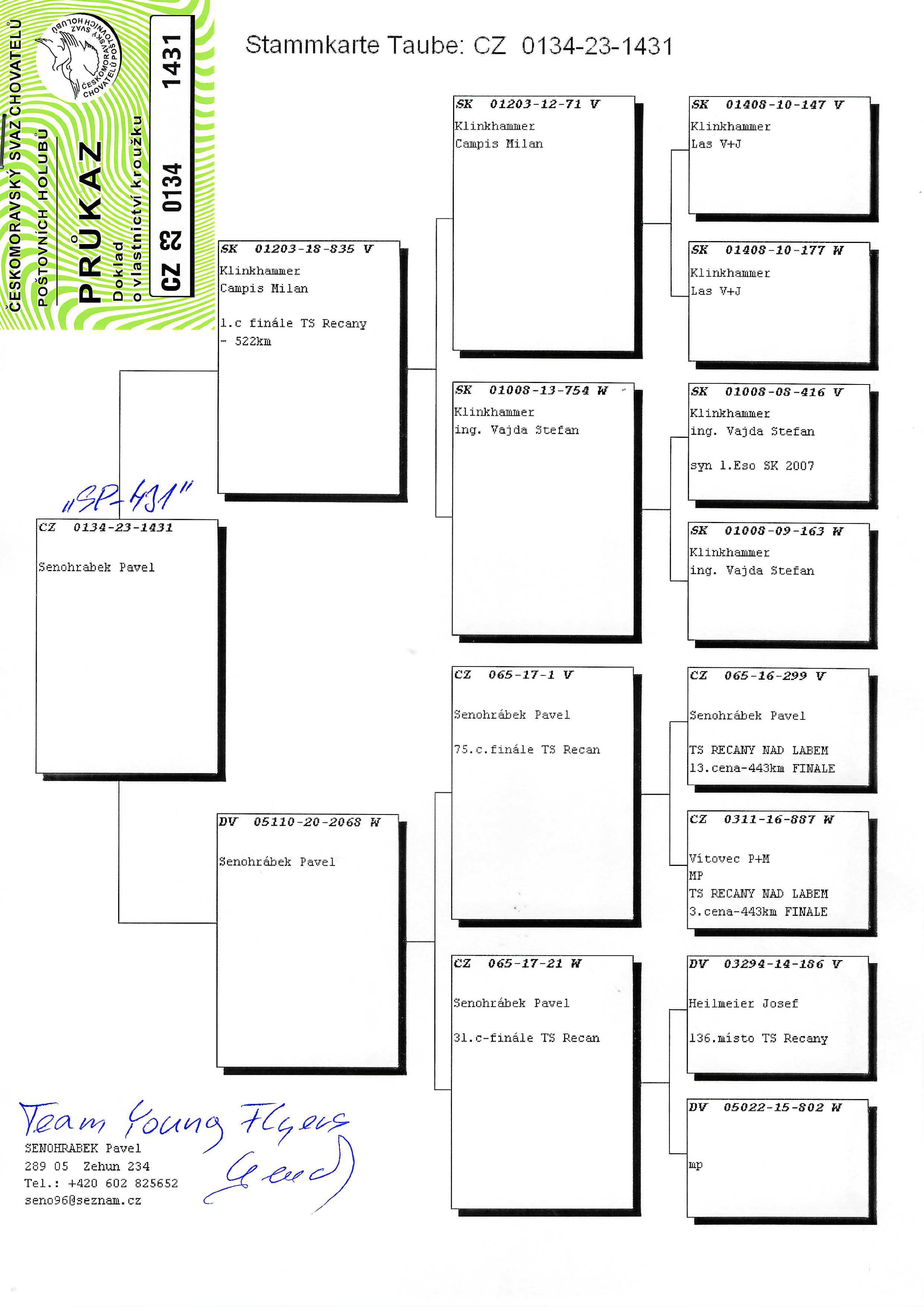 Pigeon pedigree image