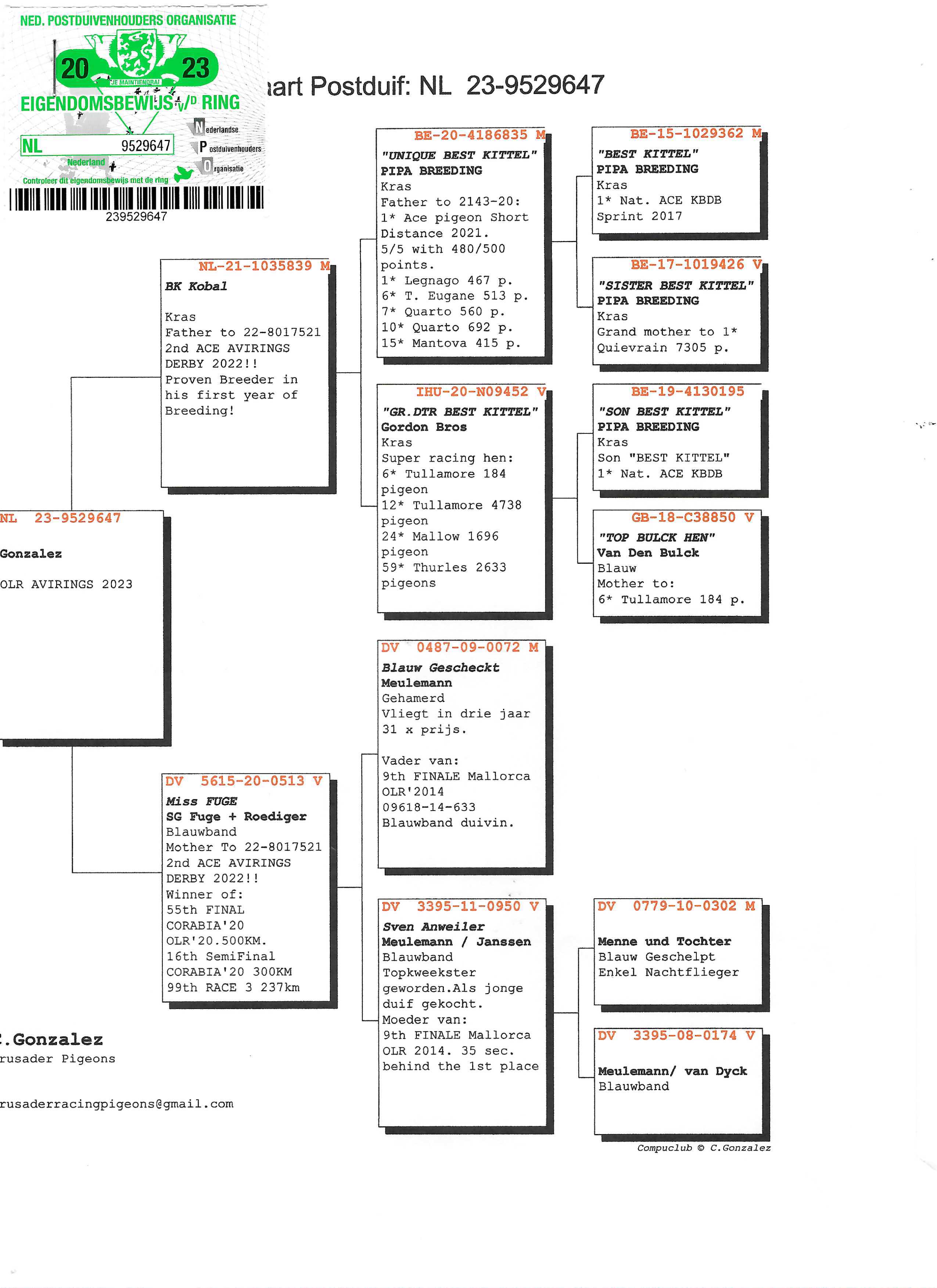 Pigeon pedigree image