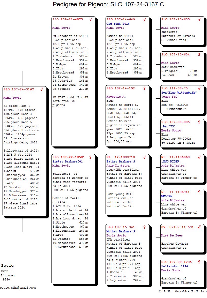 Pigeon pedigree image