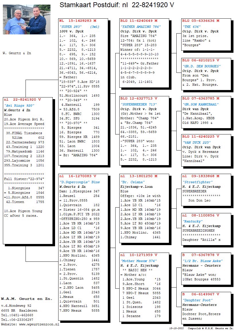 Pigeon pedigree image