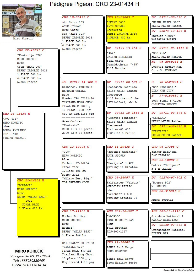 Pigeon pedigree image