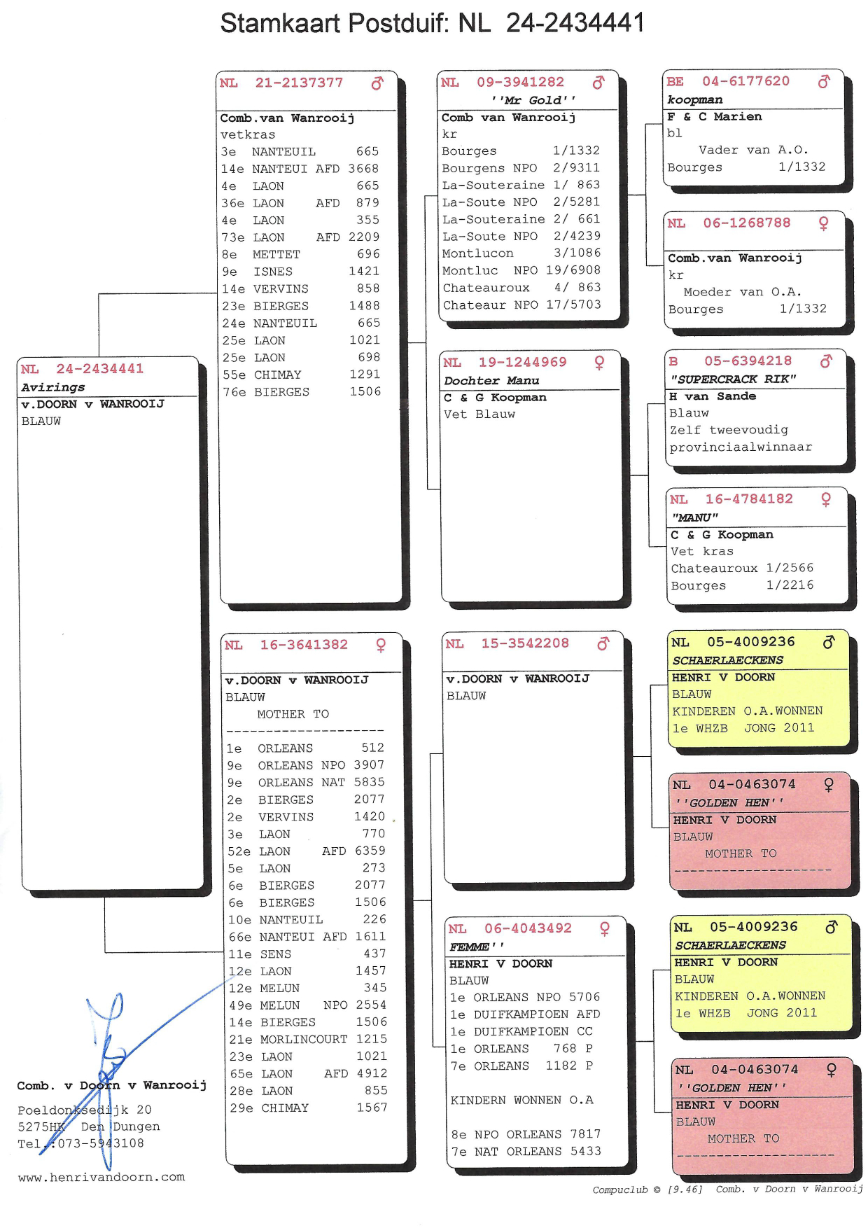 Pigeon pedigree image