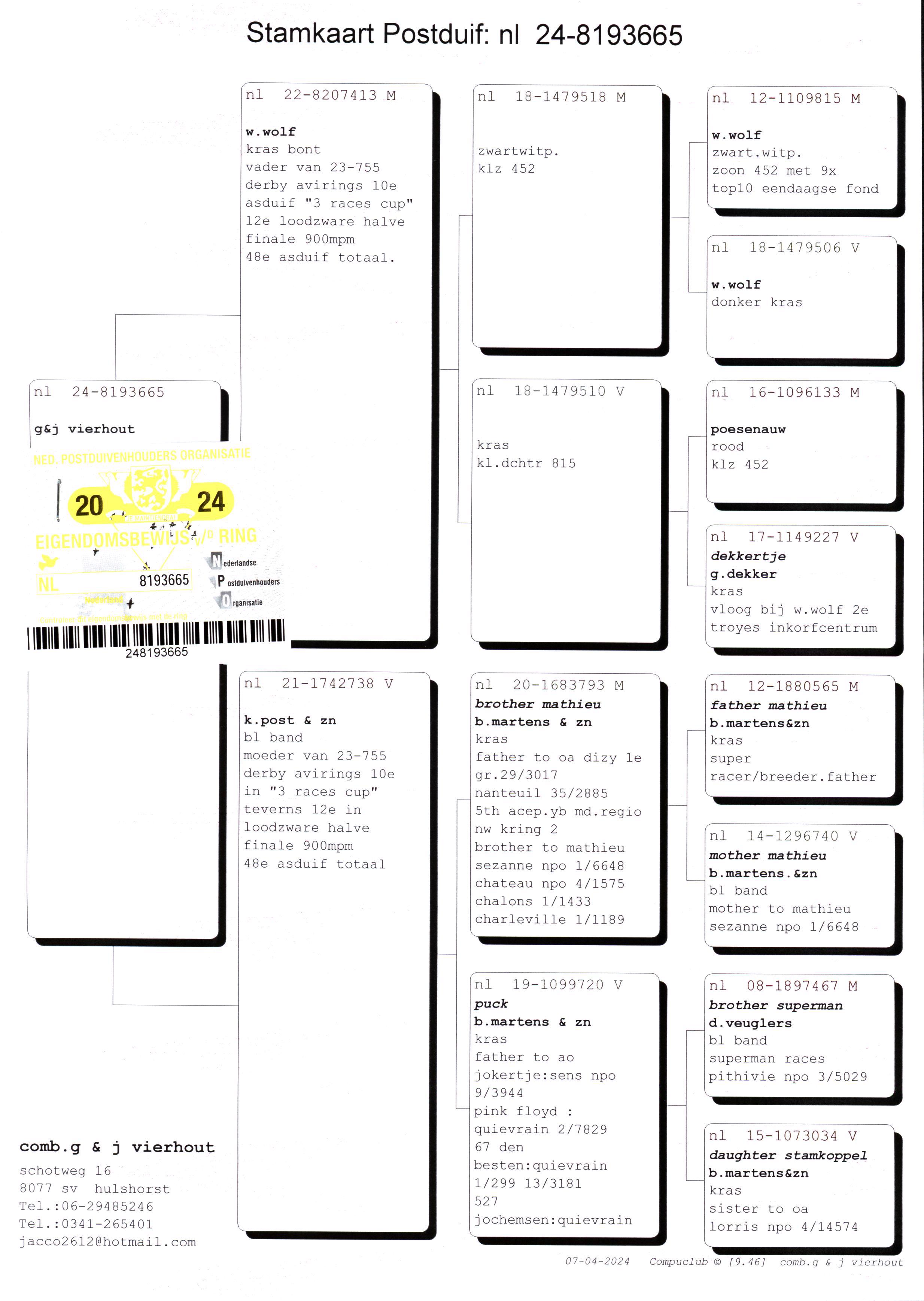 Pigeon pedigree image