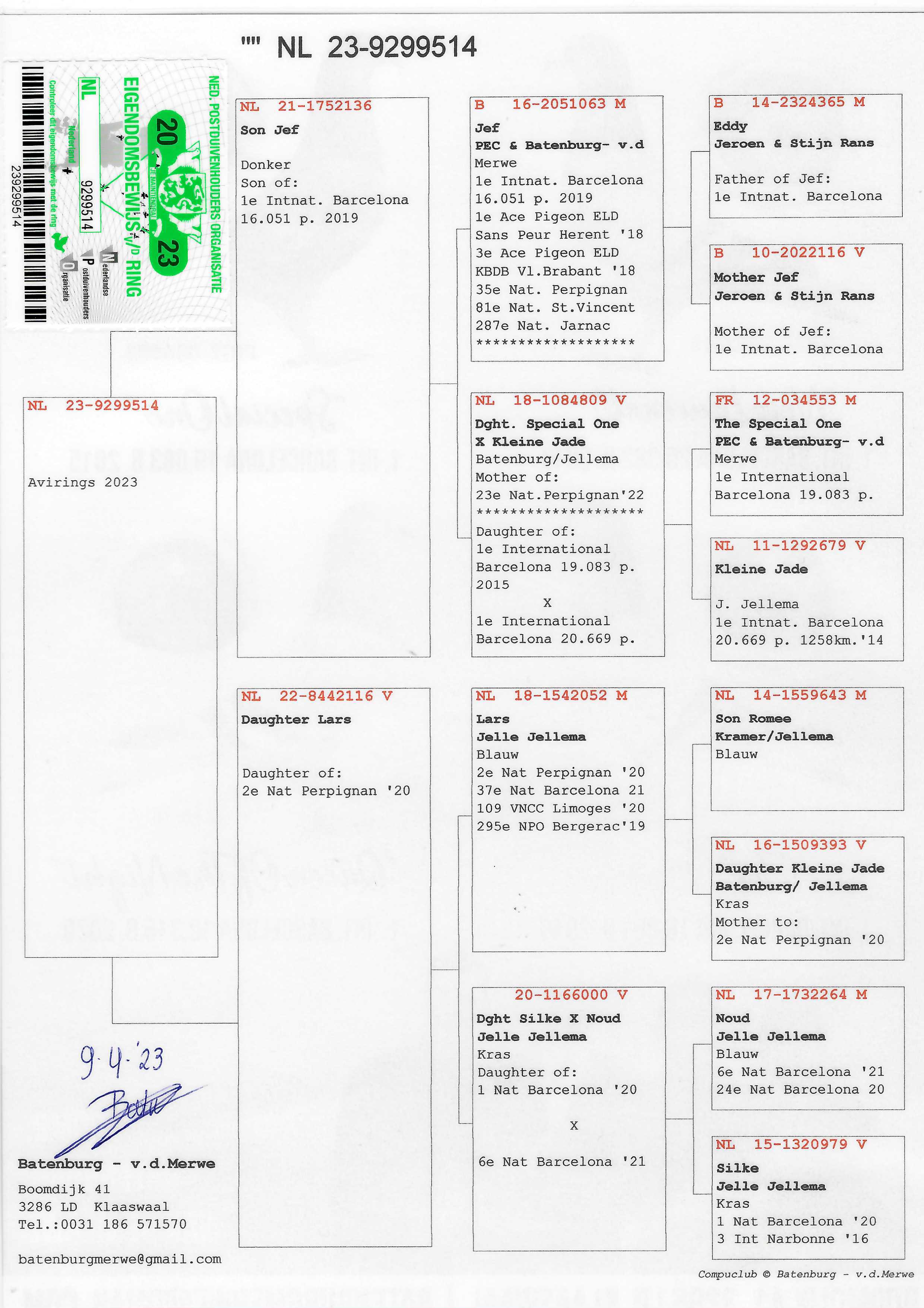 Pigeon pedigree image