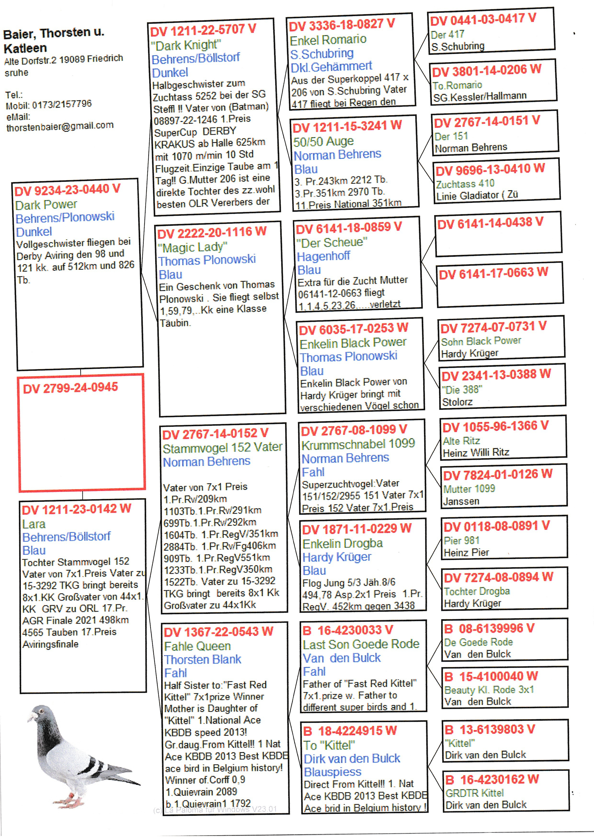 Pigeon pedigree image