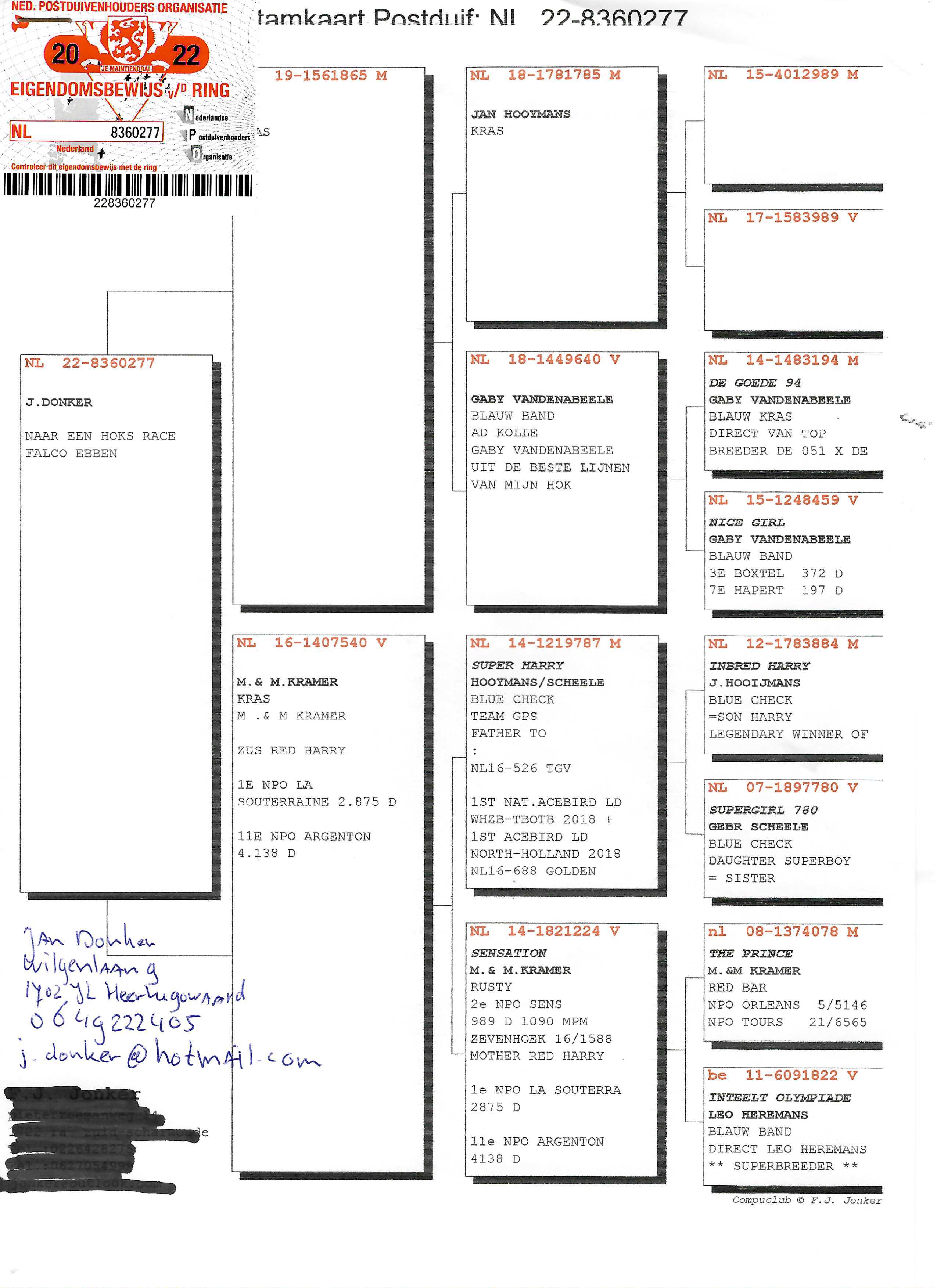 Pigeon pedigree image