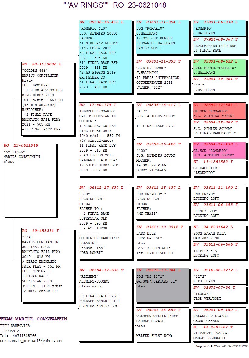 Pigeon pedigree image