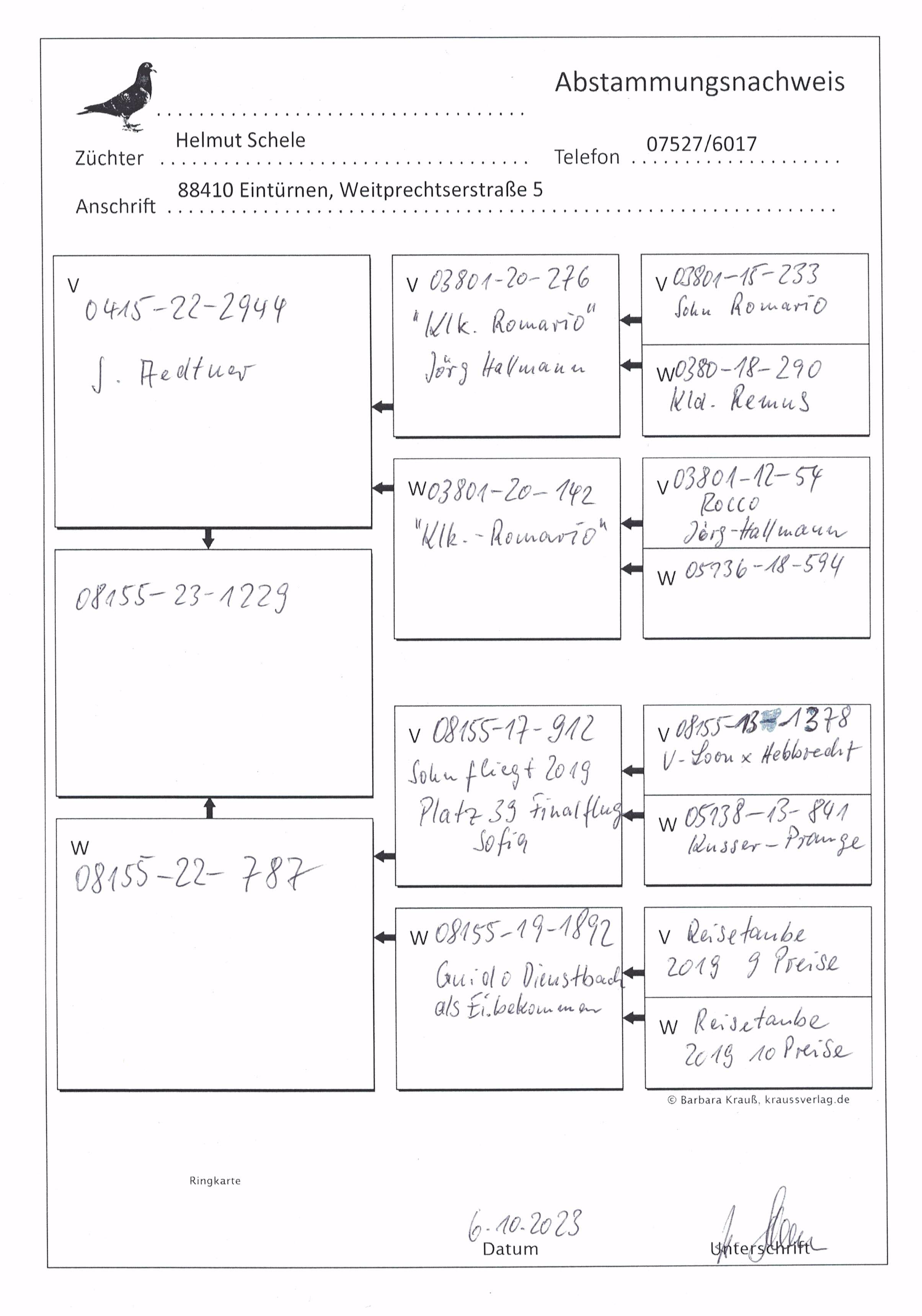 Pigeon pedigree image
