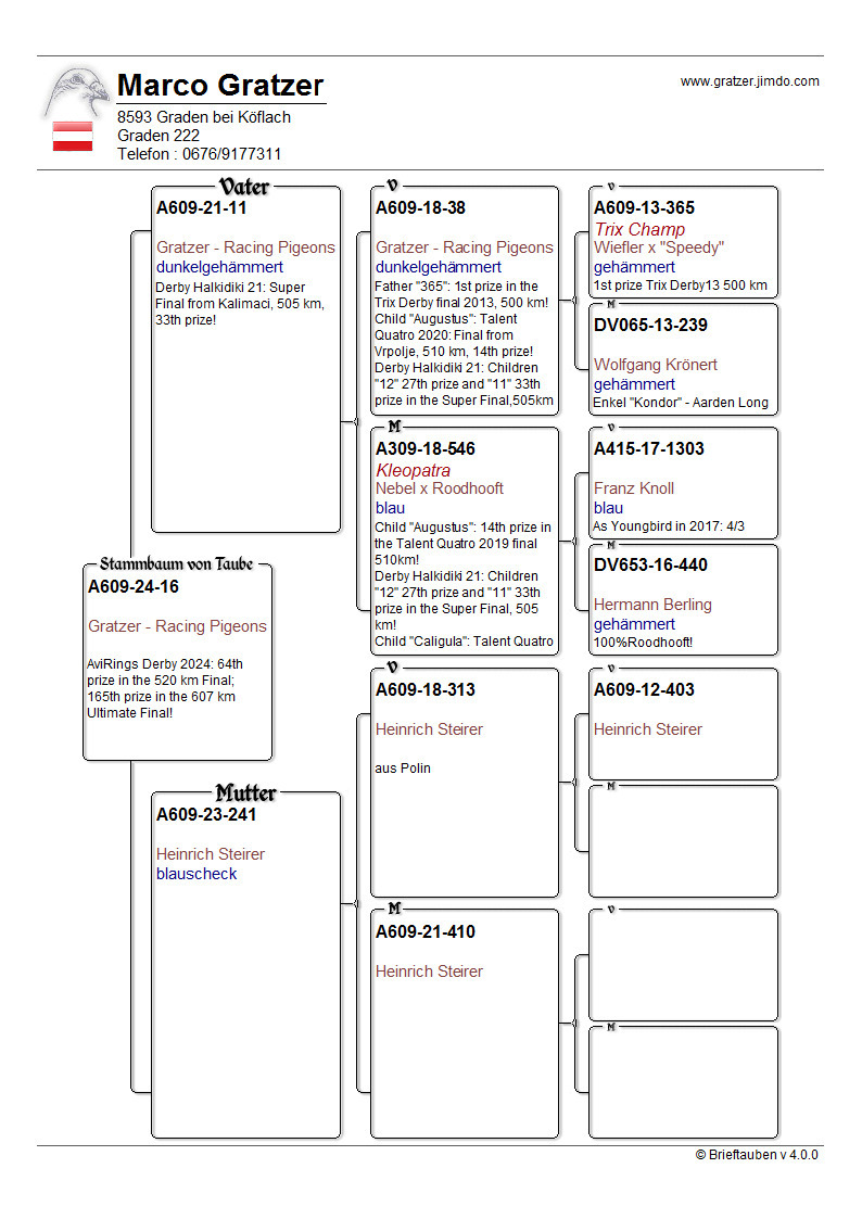 Pigeon pedigree image