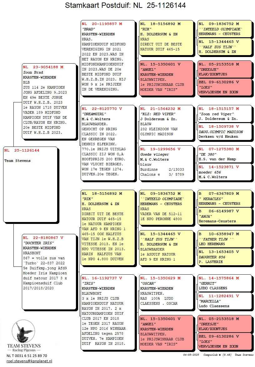 Pigeon pedigree image