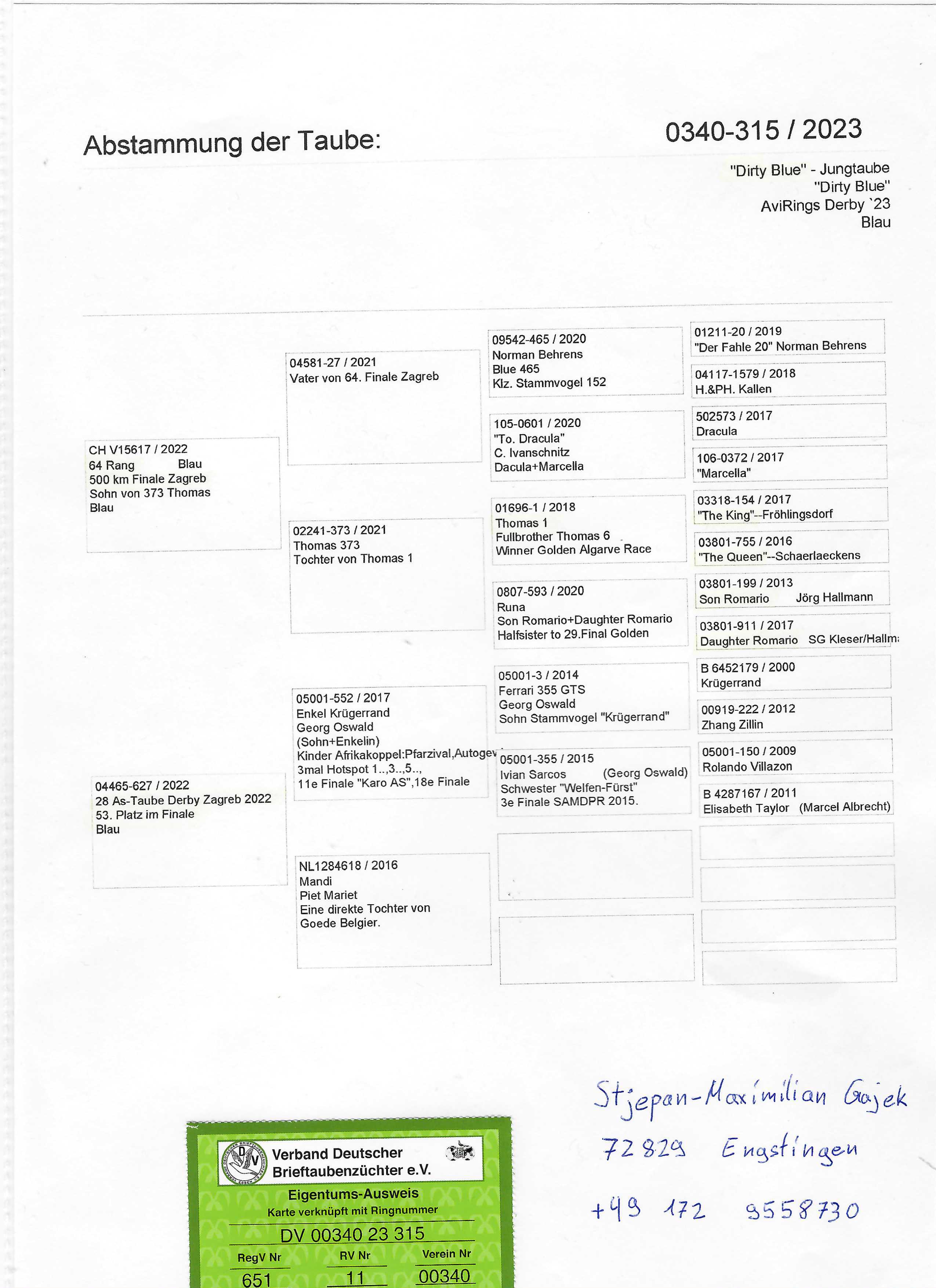 Pigeon pedigree image