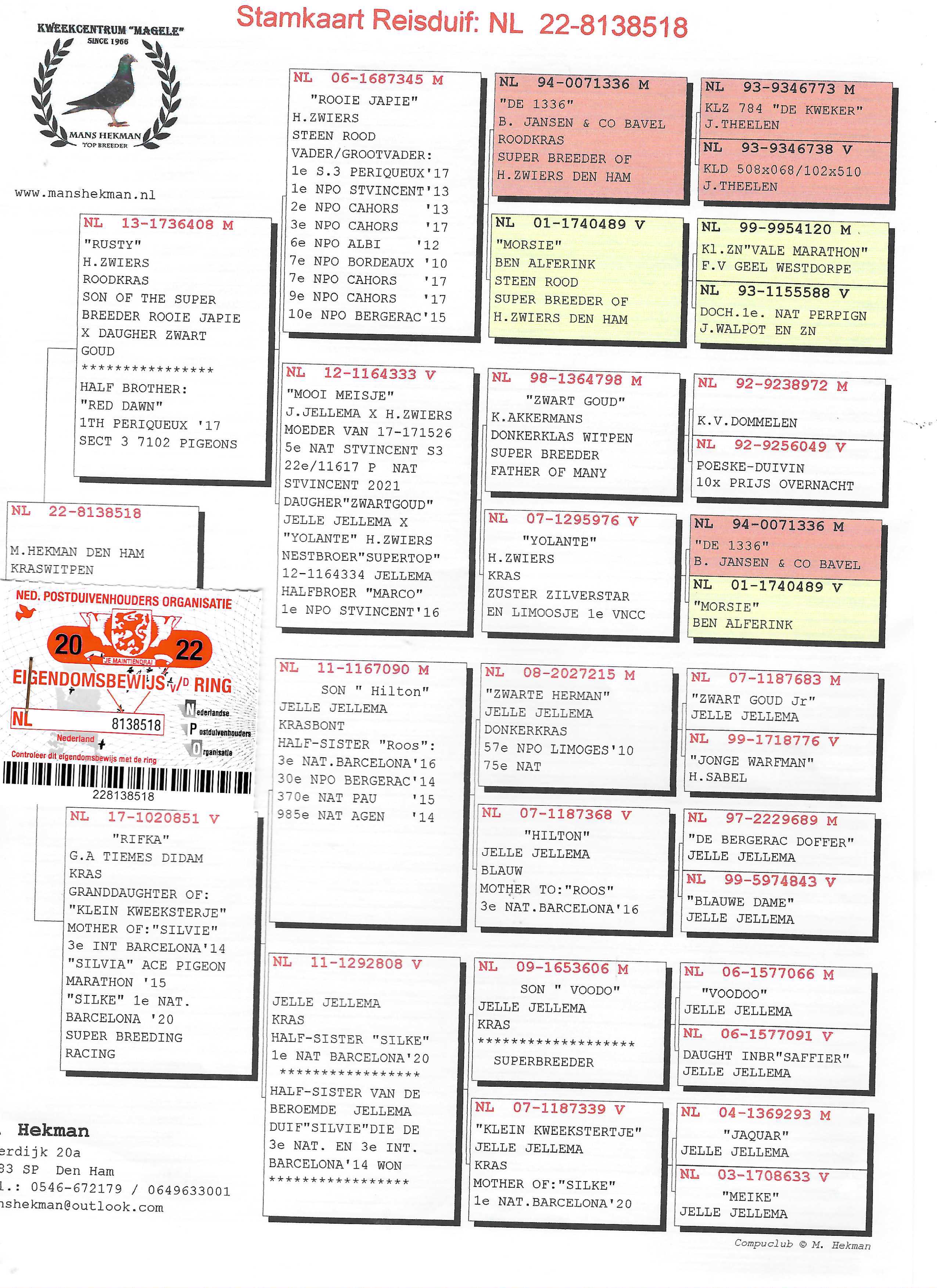 Pigeon pedigree image