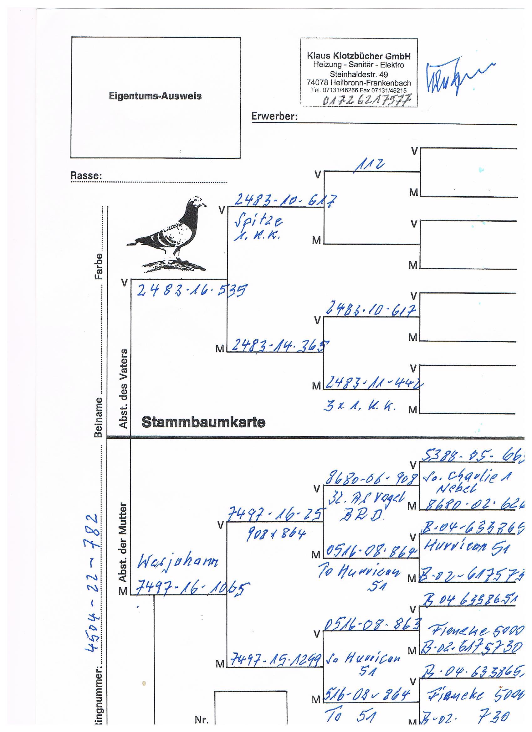 Pigeon pedigree image