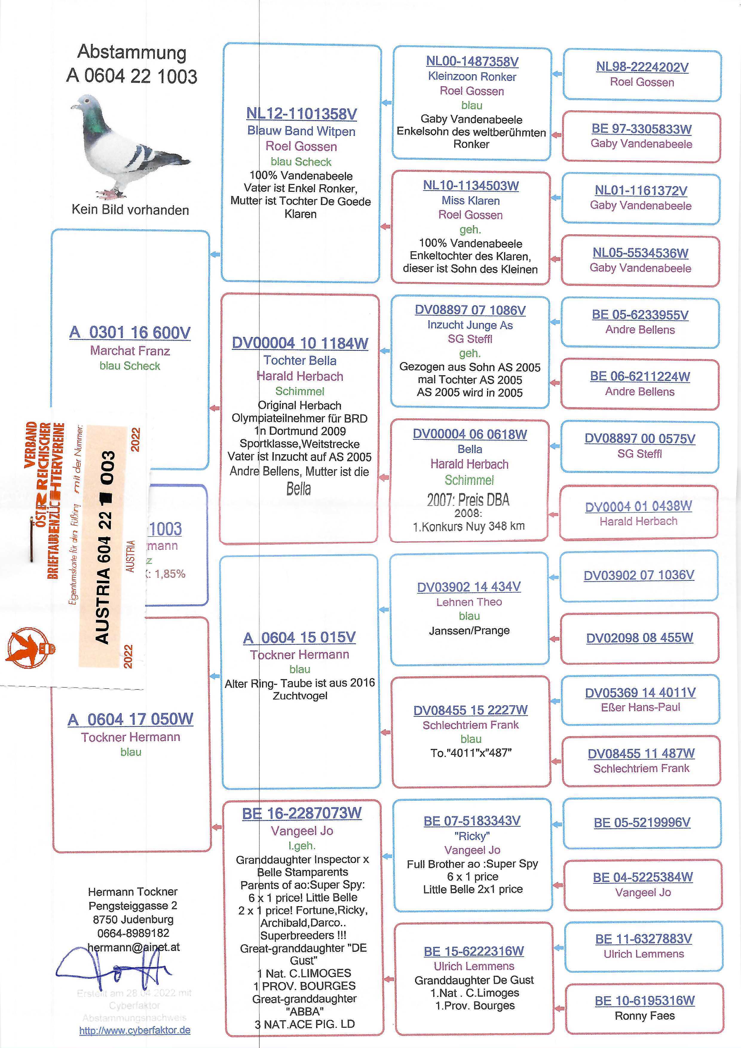 Pigeon pedigree image