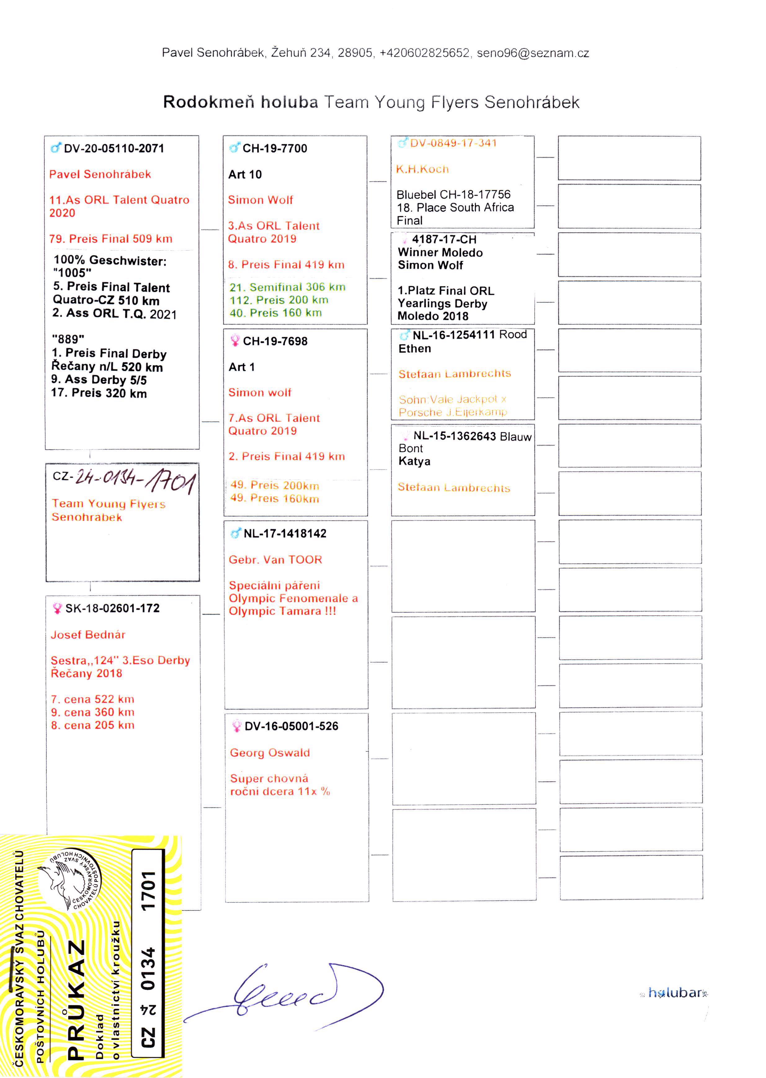 Pigeon pedigree image