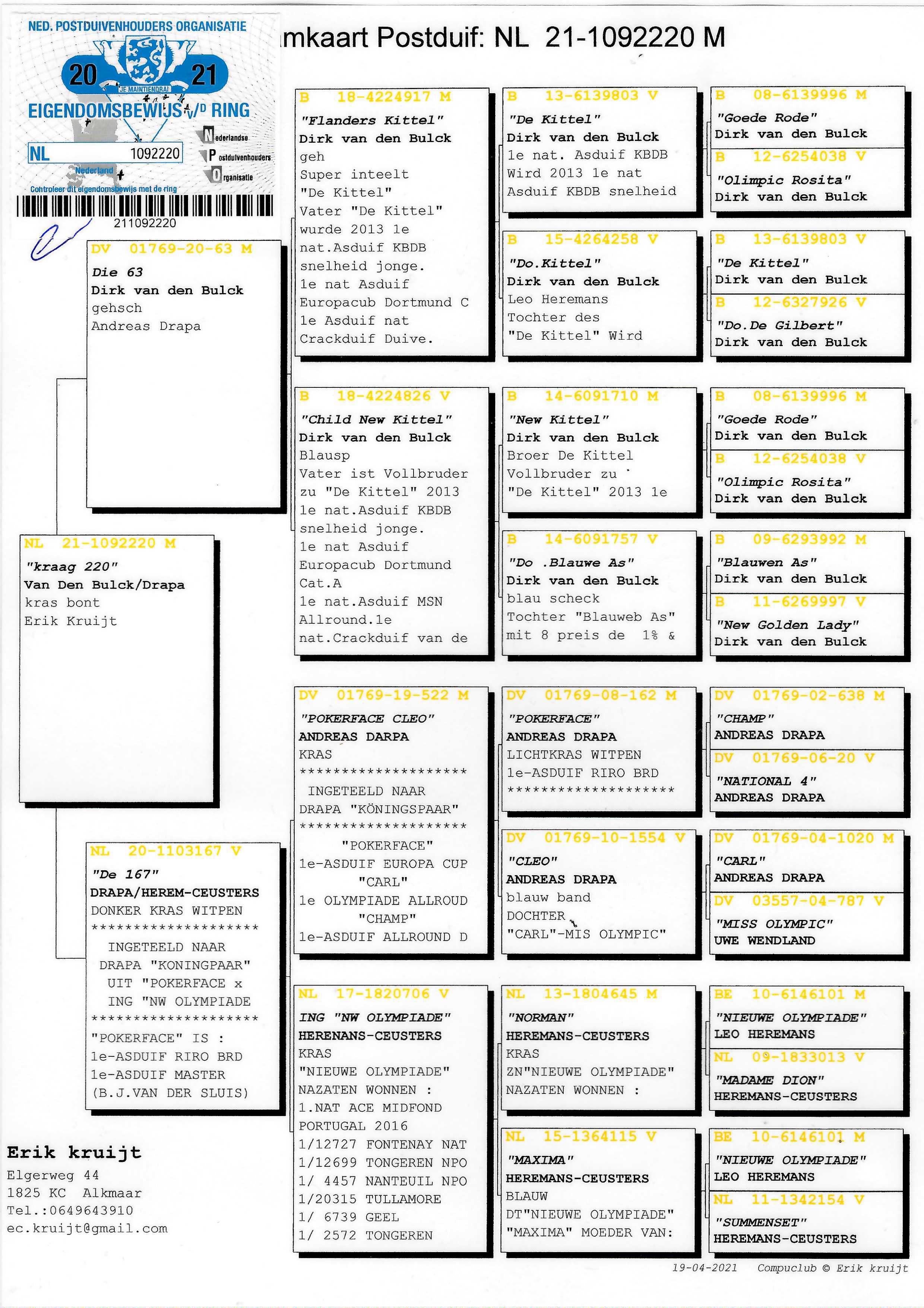 Pigeon pedigree image
