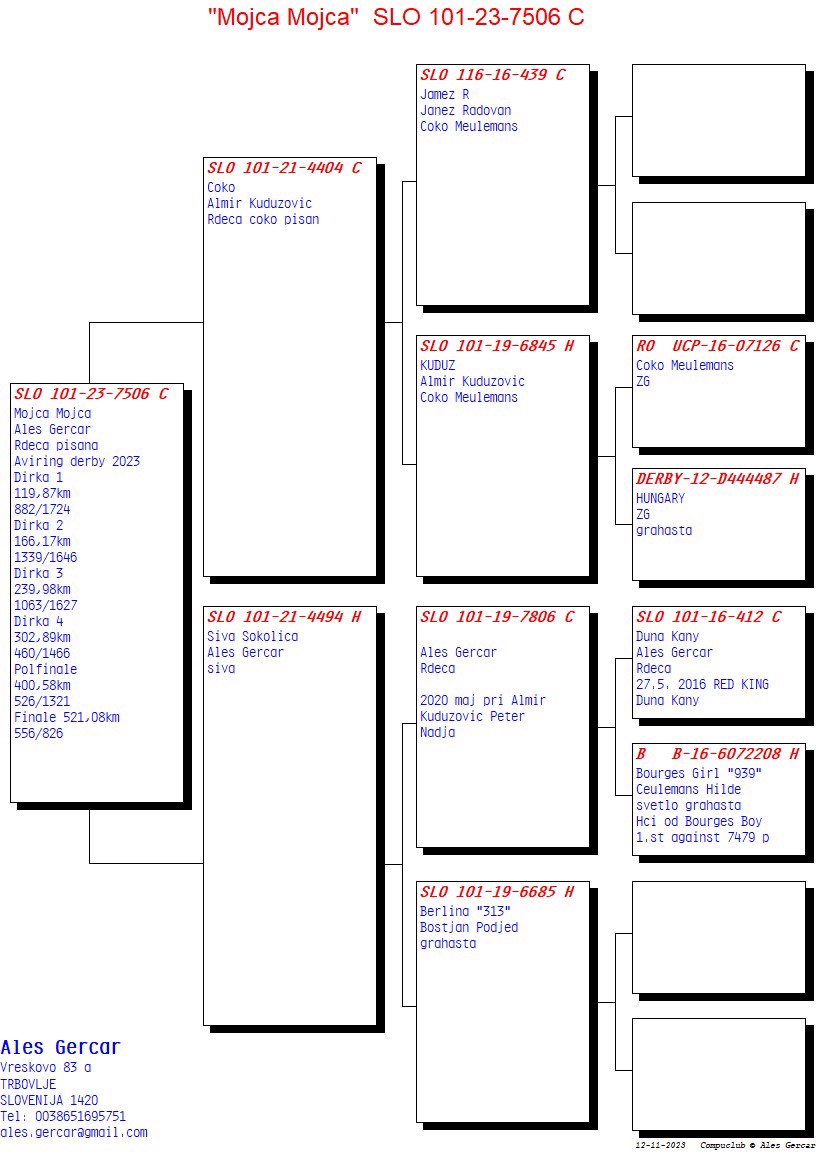 Pigeon pedigree image