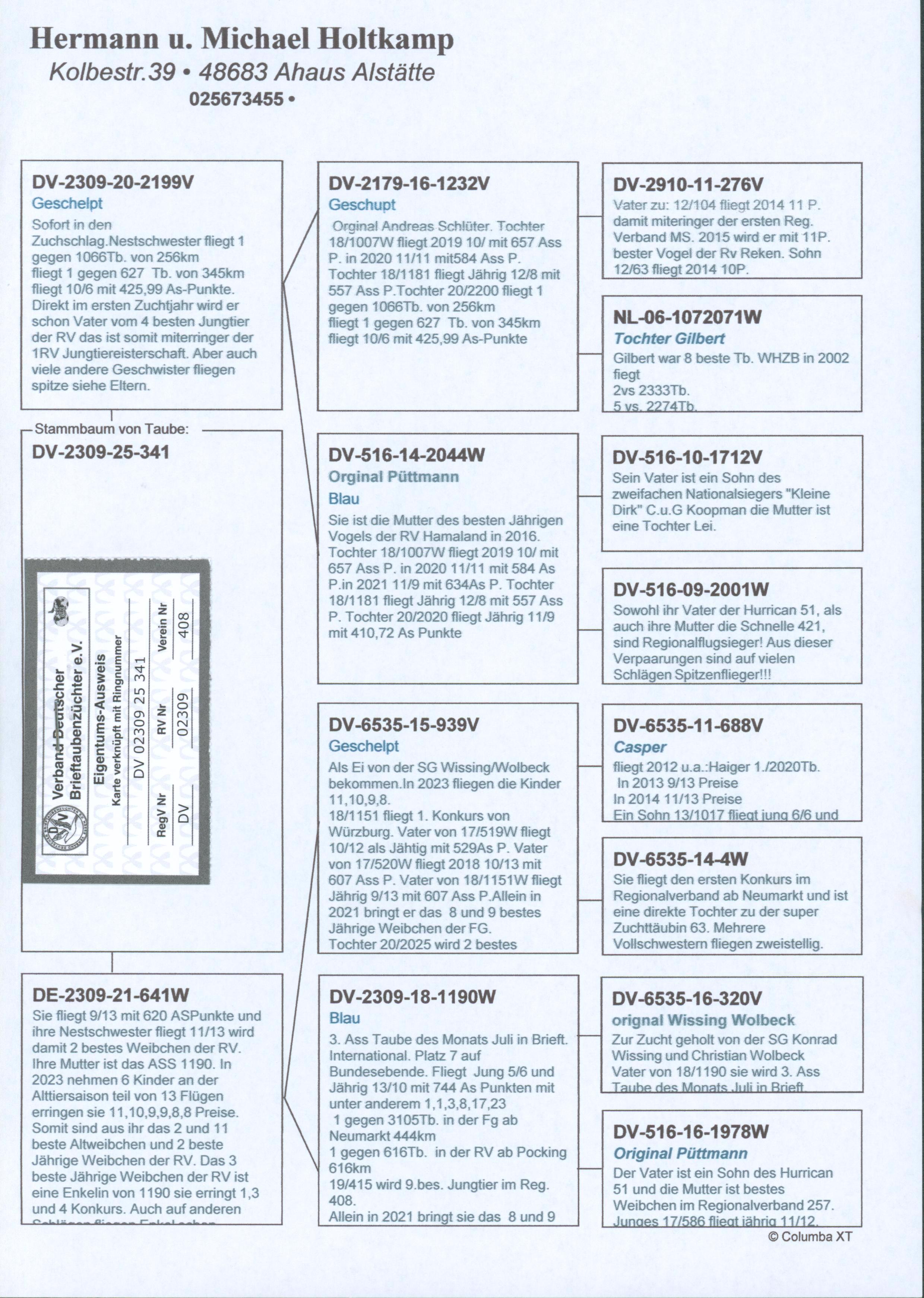 Pigeon pedigree image