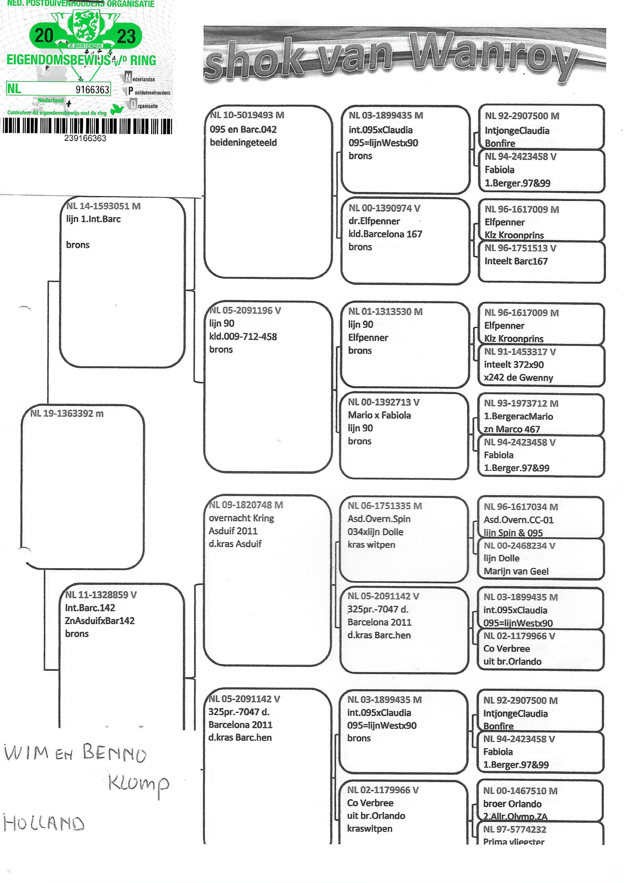 Pigeon pedigree image