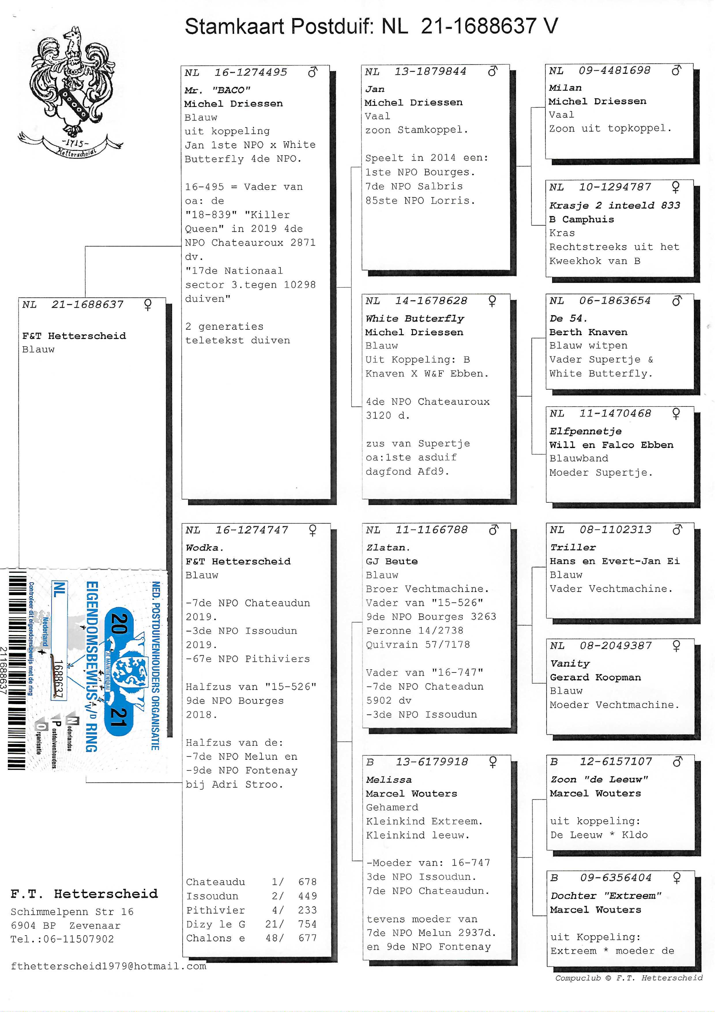 Pigeon pedigree image
