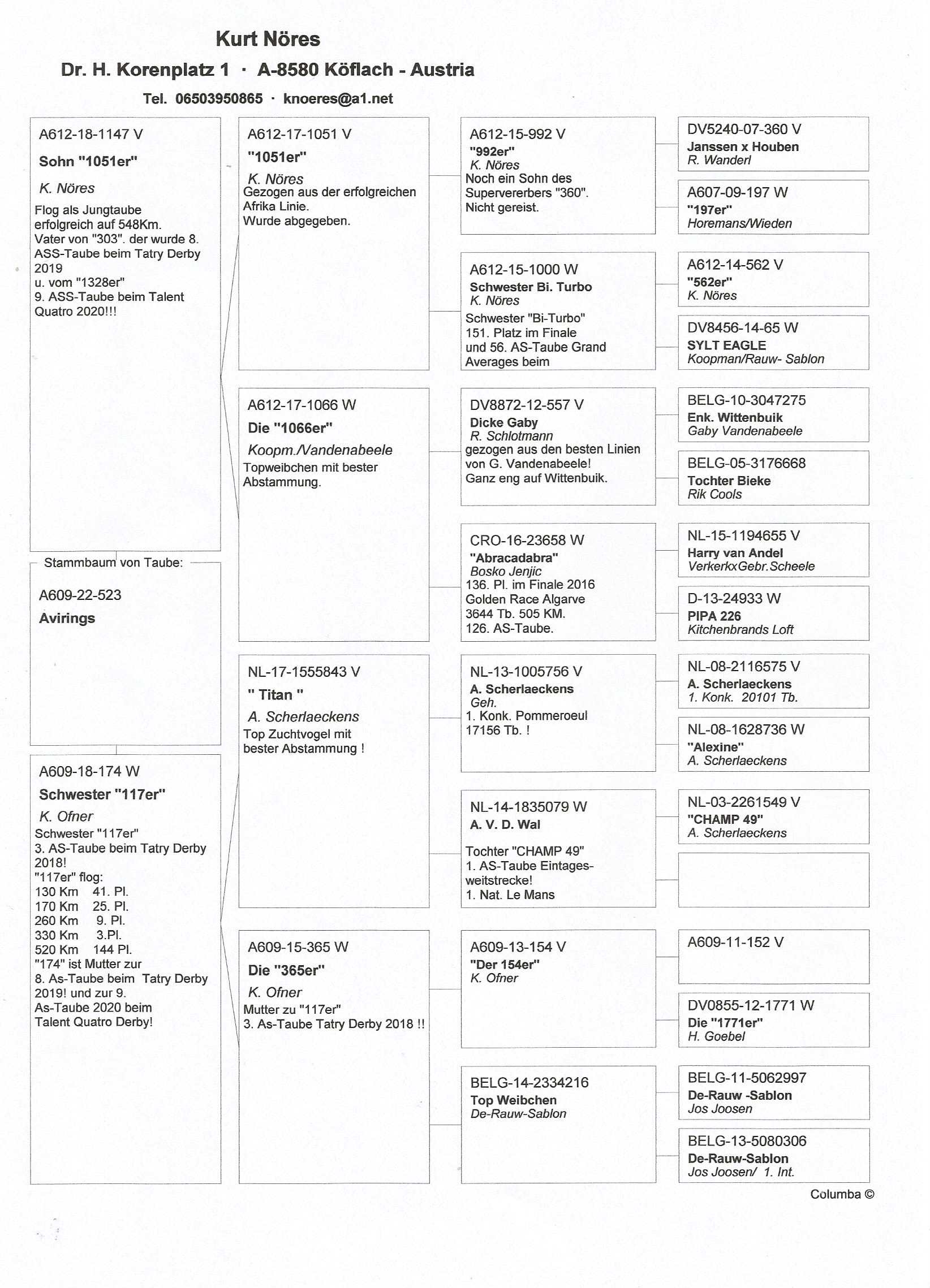 Pigeon pedigree image