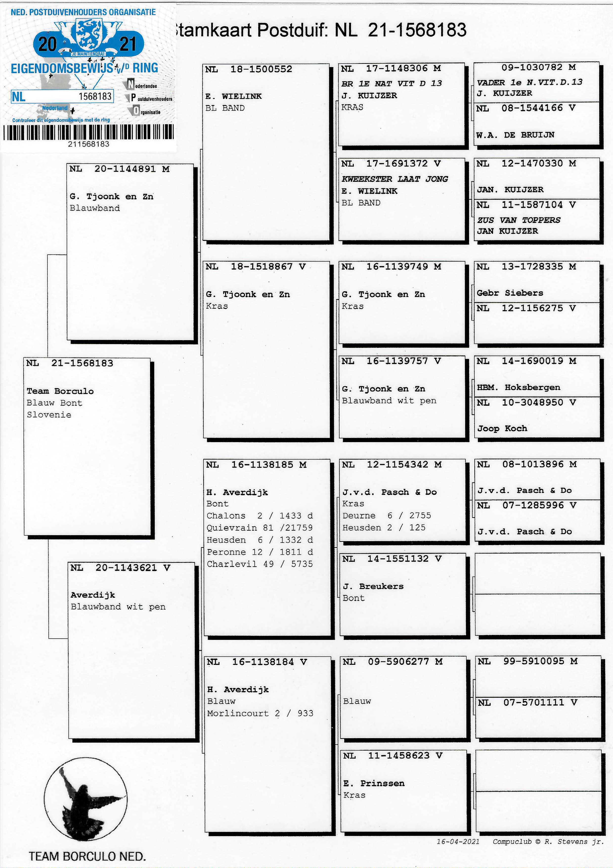 Pigeon pedigree image