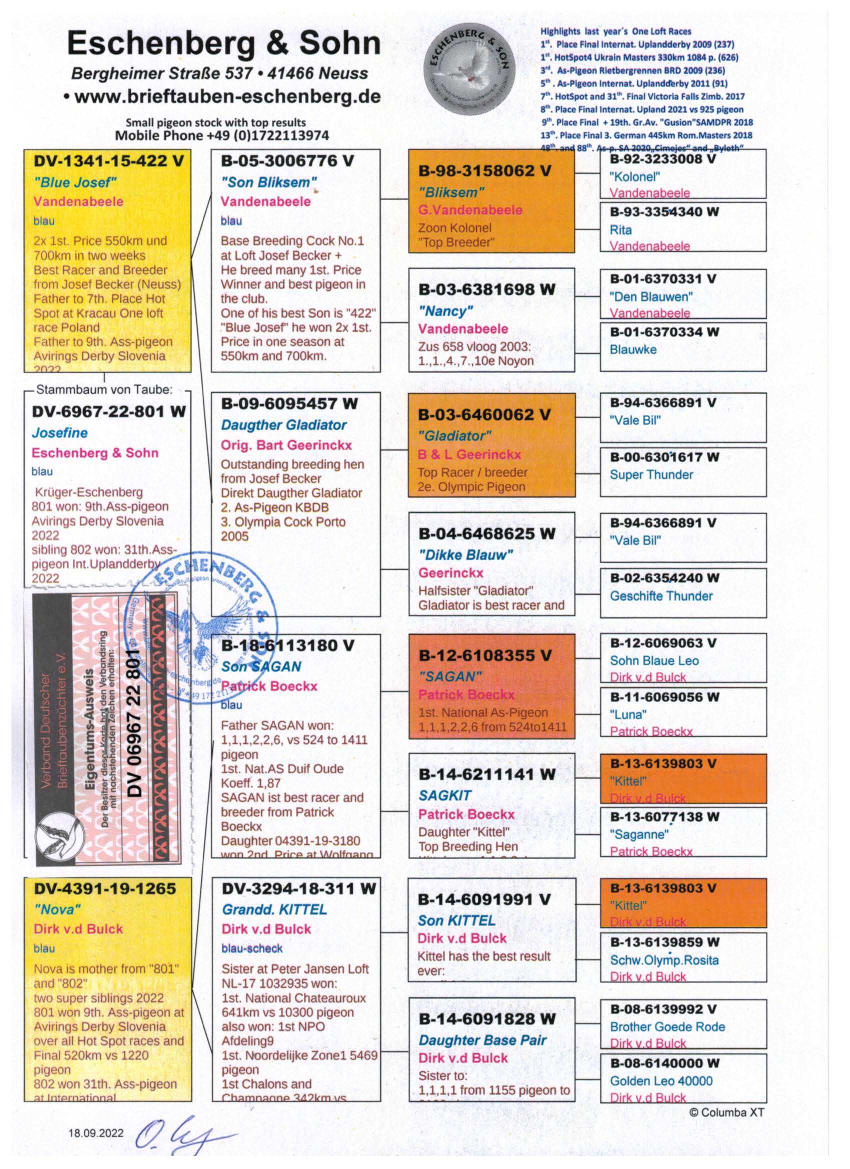 Pigeon pedigree image