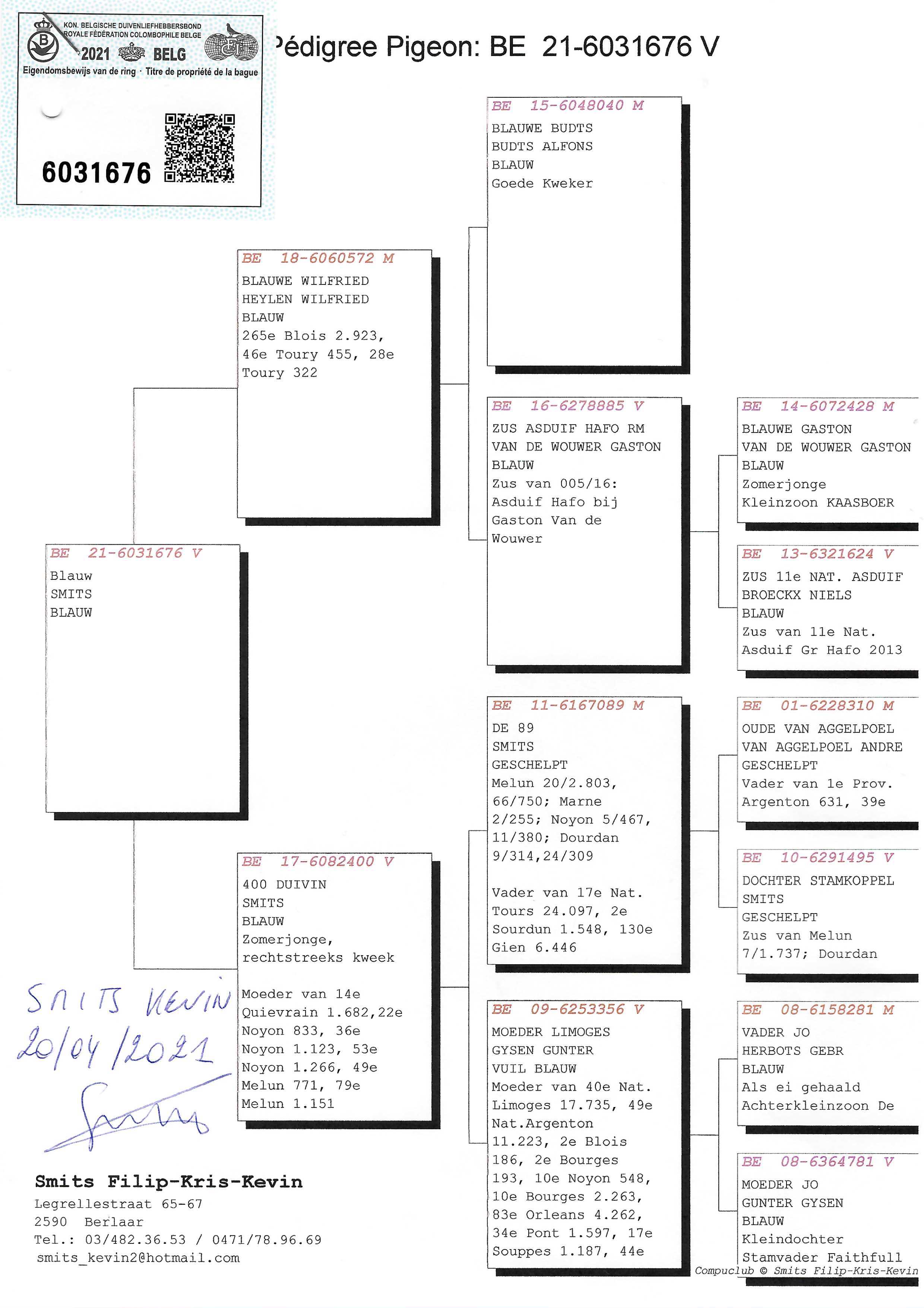 Pigeon pedigree image