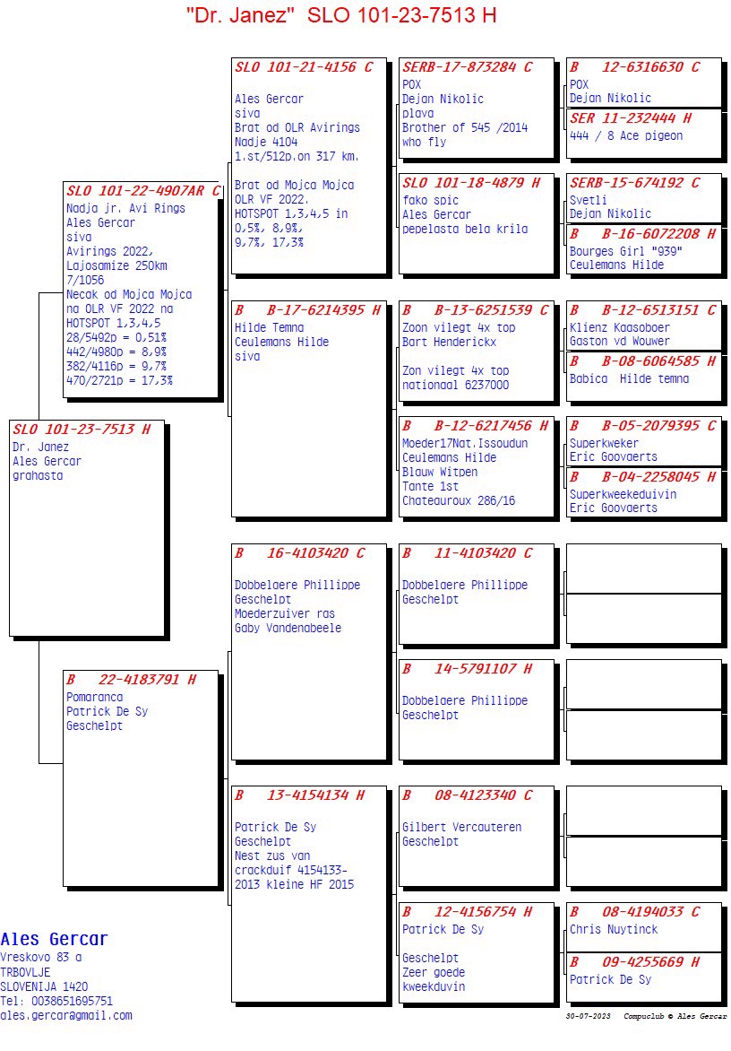 Pigeon pedigree image