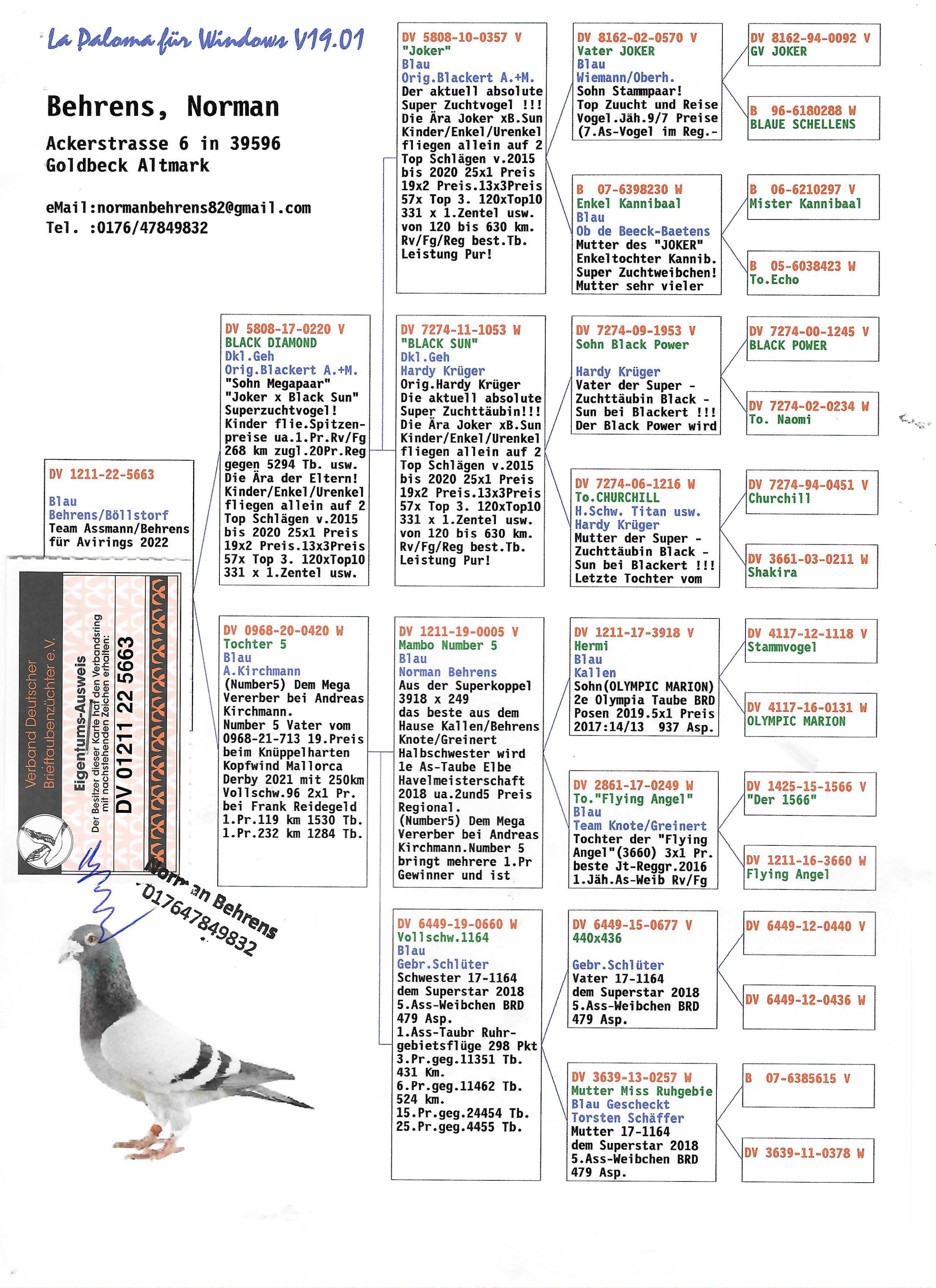 Pigeon pedigree image