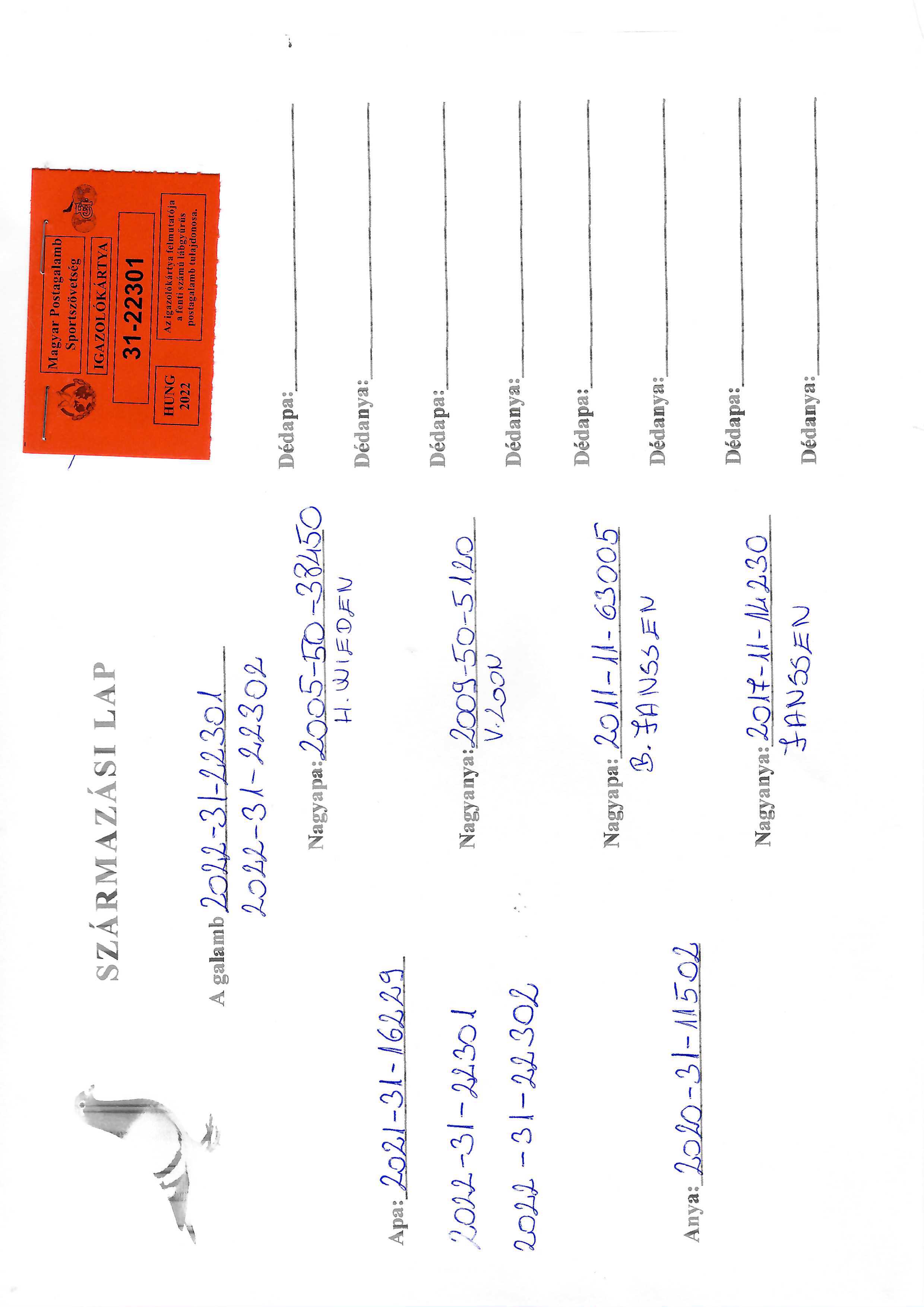 Pigeon pedigree image