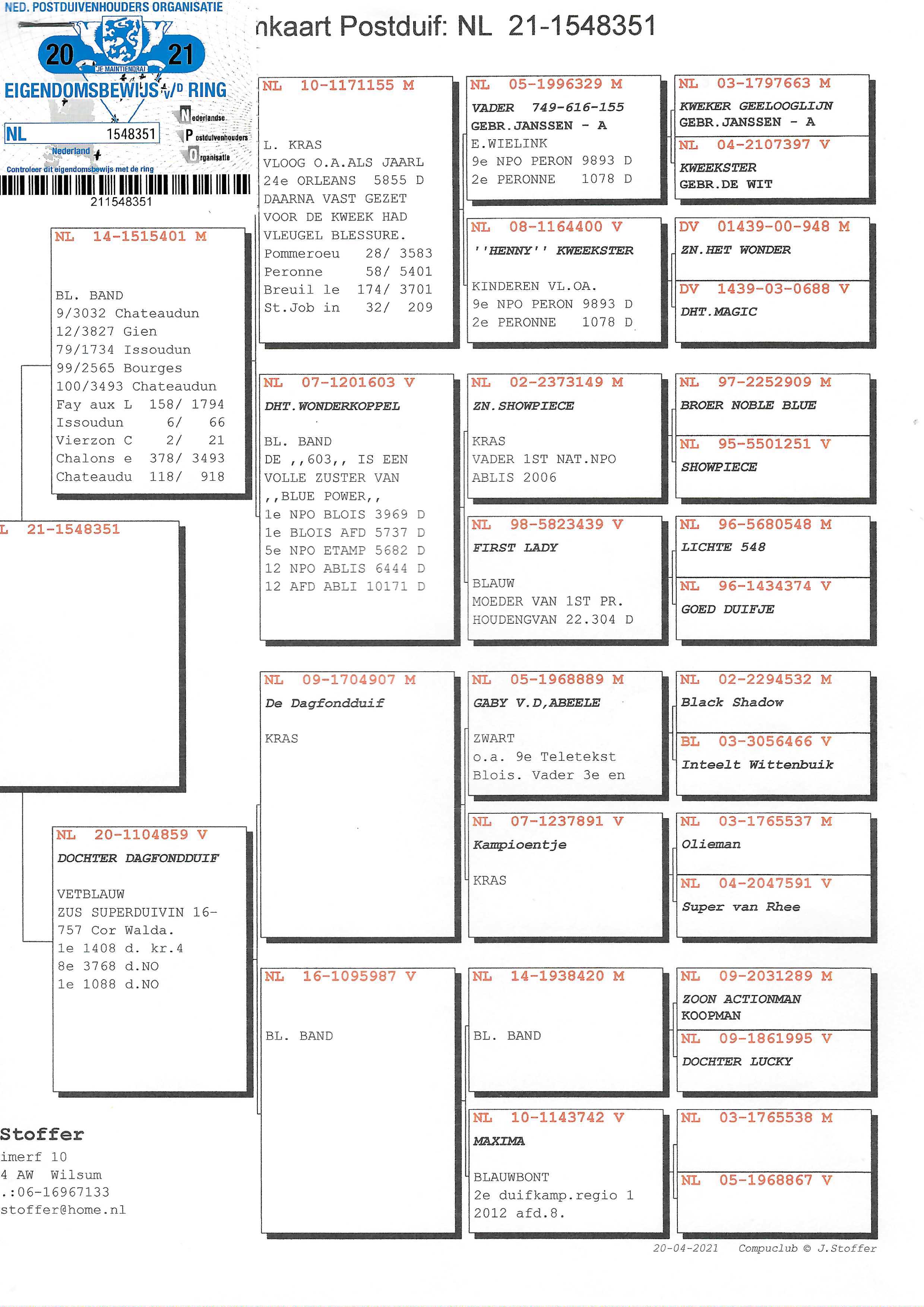 Pigeon pedigree image
