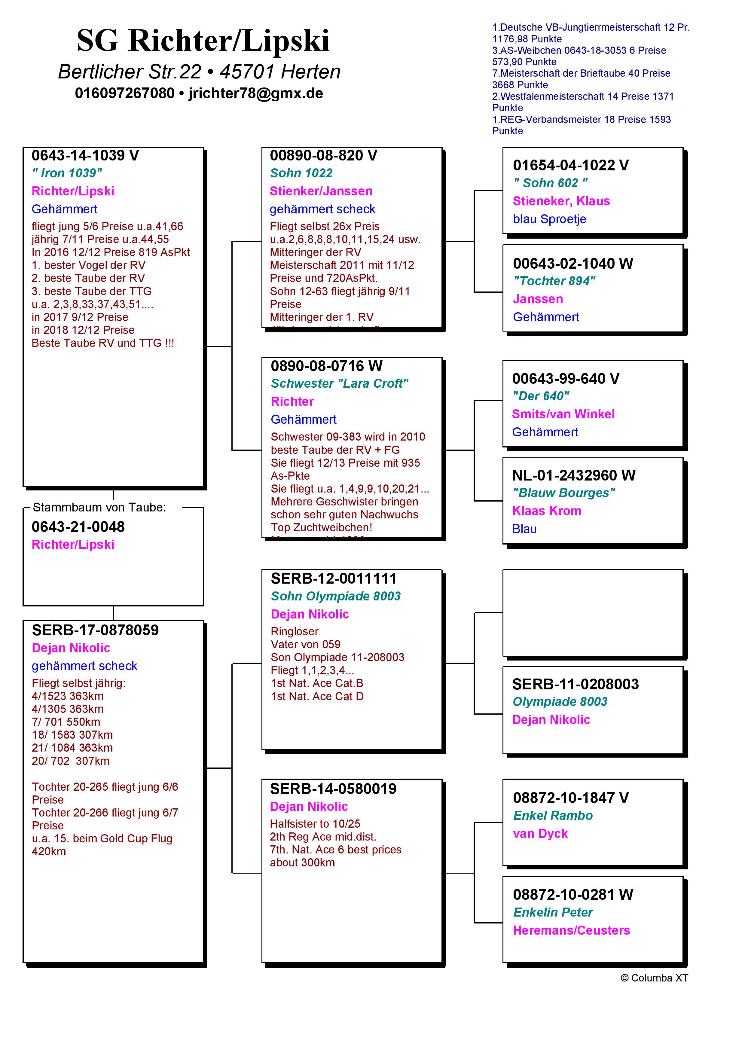Pigeon pedigree image