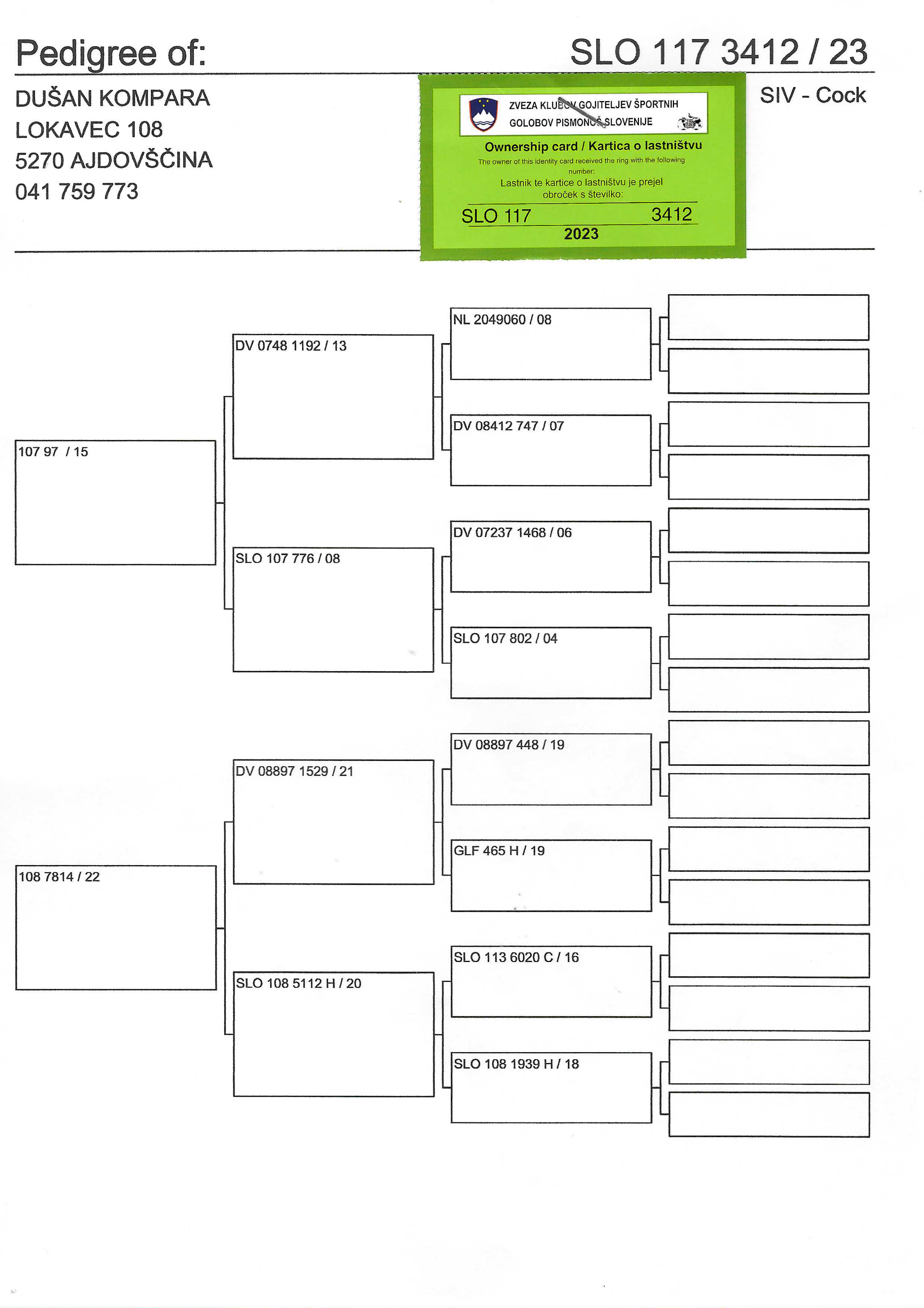 Pigeon pedigree image