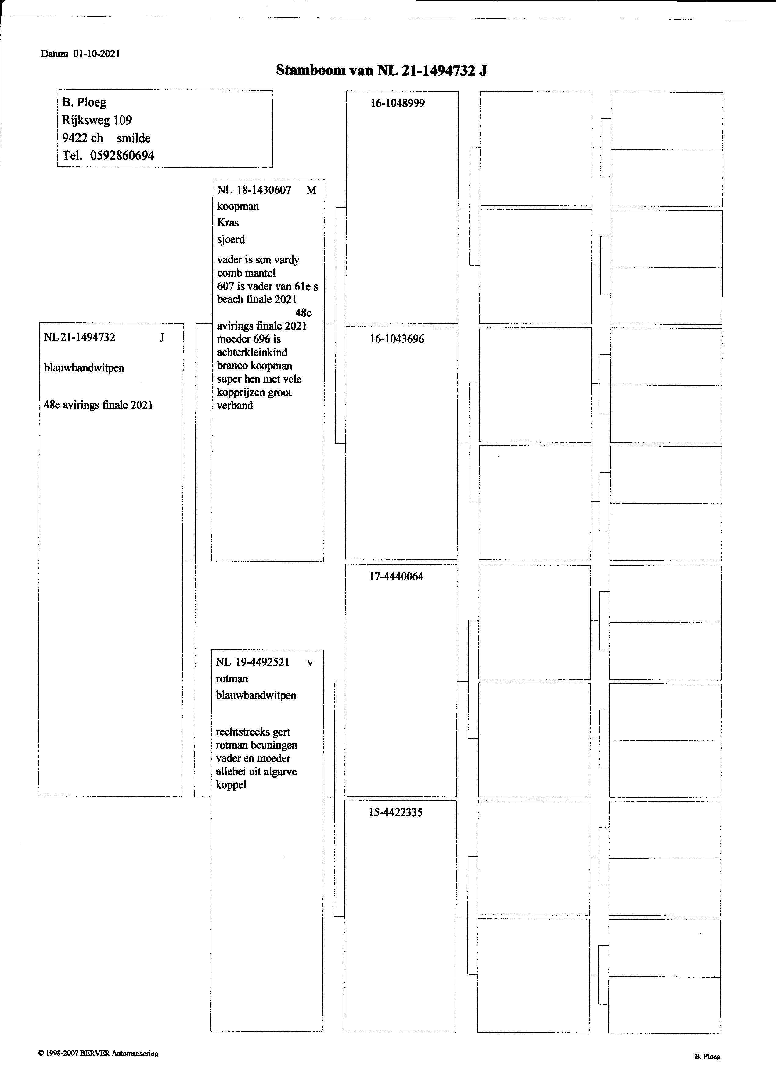 Pigeon pedigree image