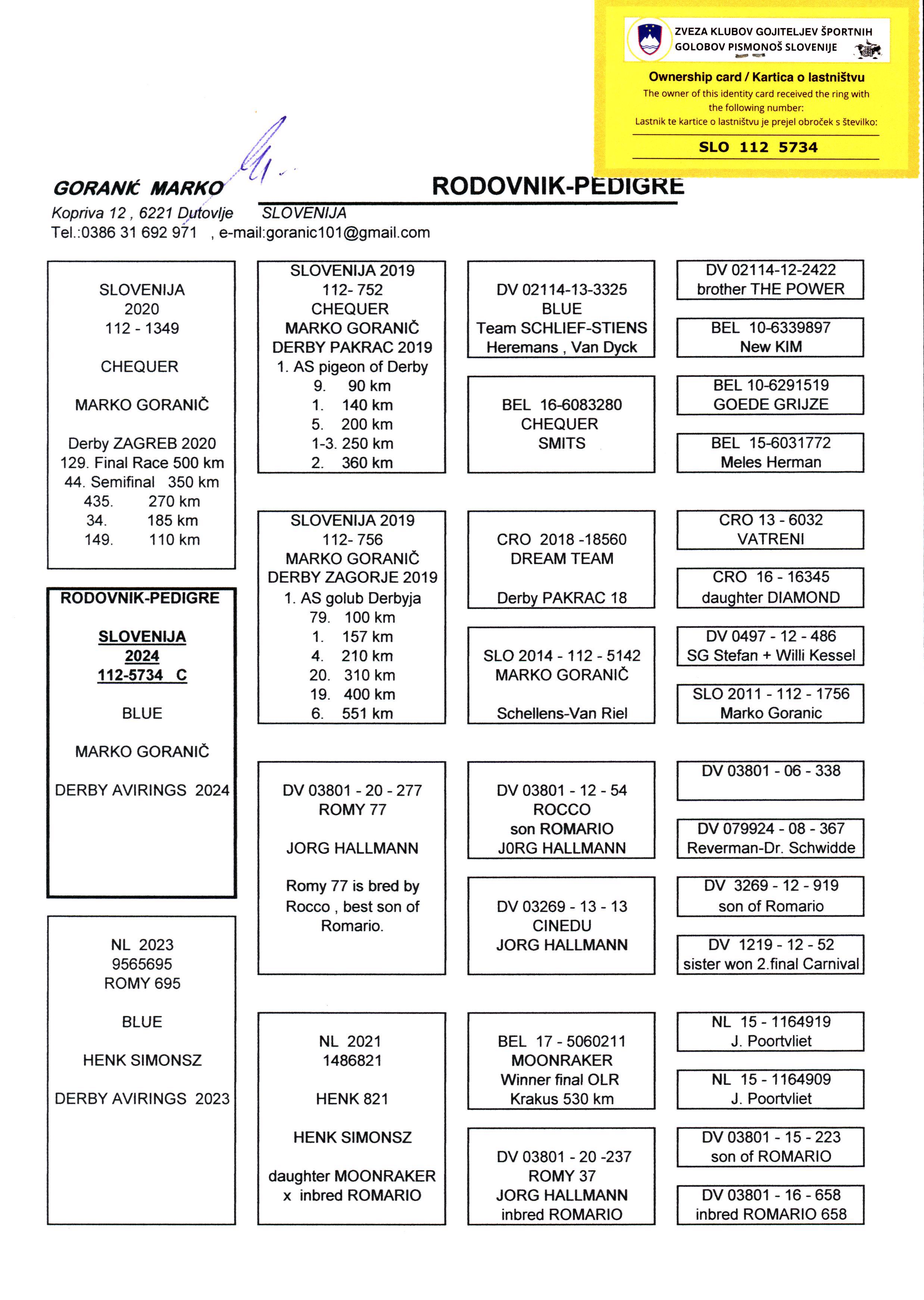 Pigeon pedigree image