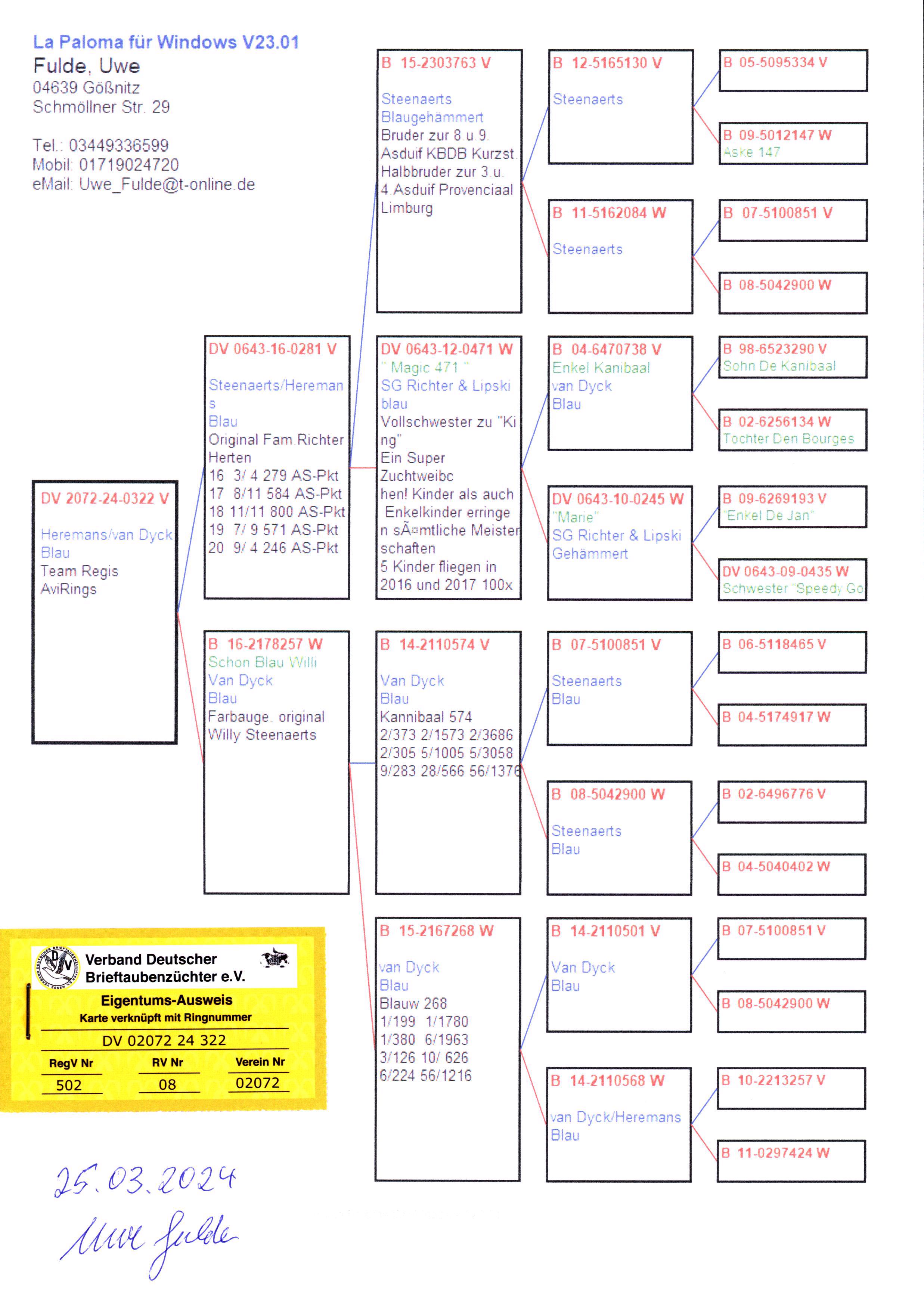 Pigeon pedigree image