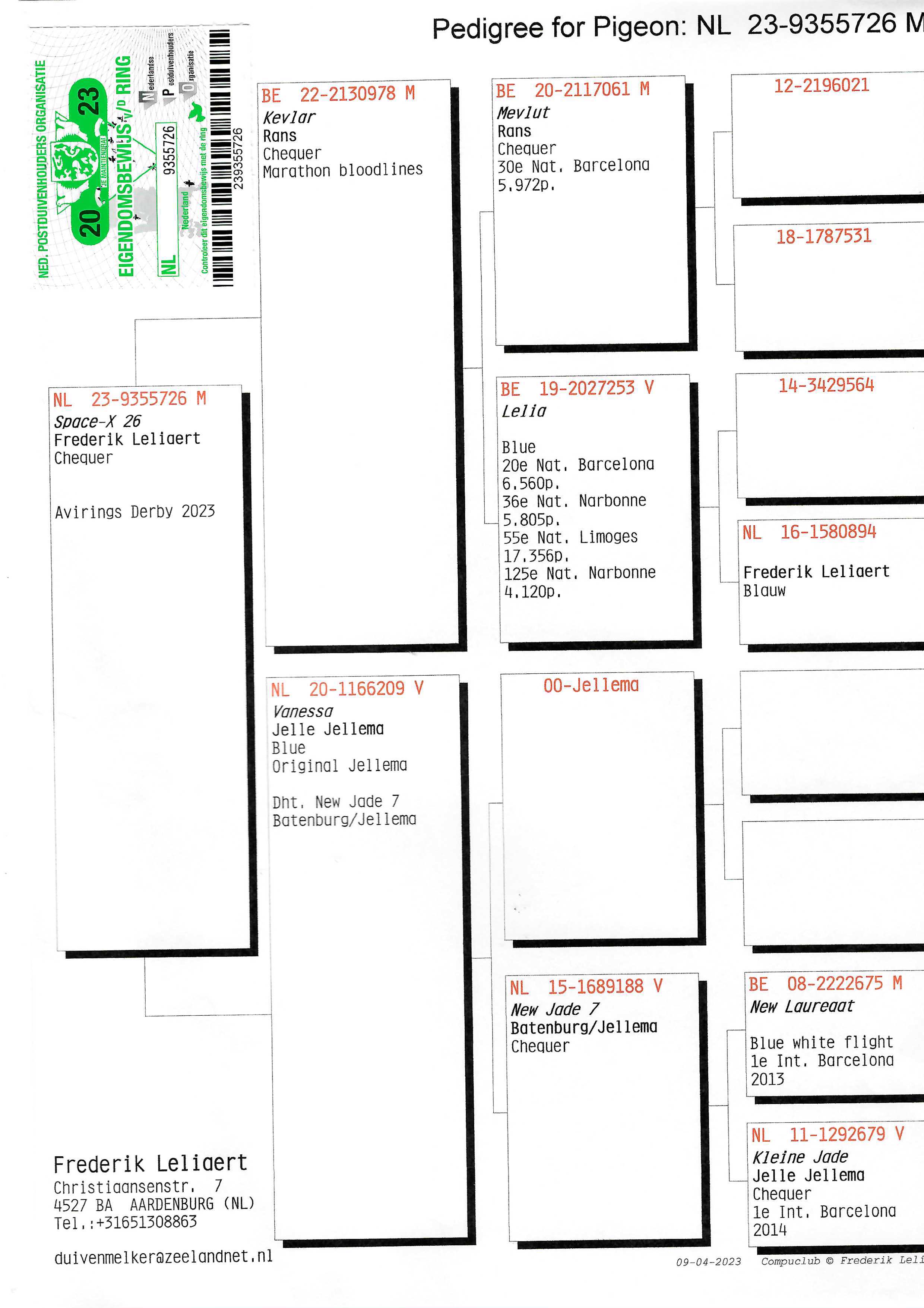 Pigeon pedigree image