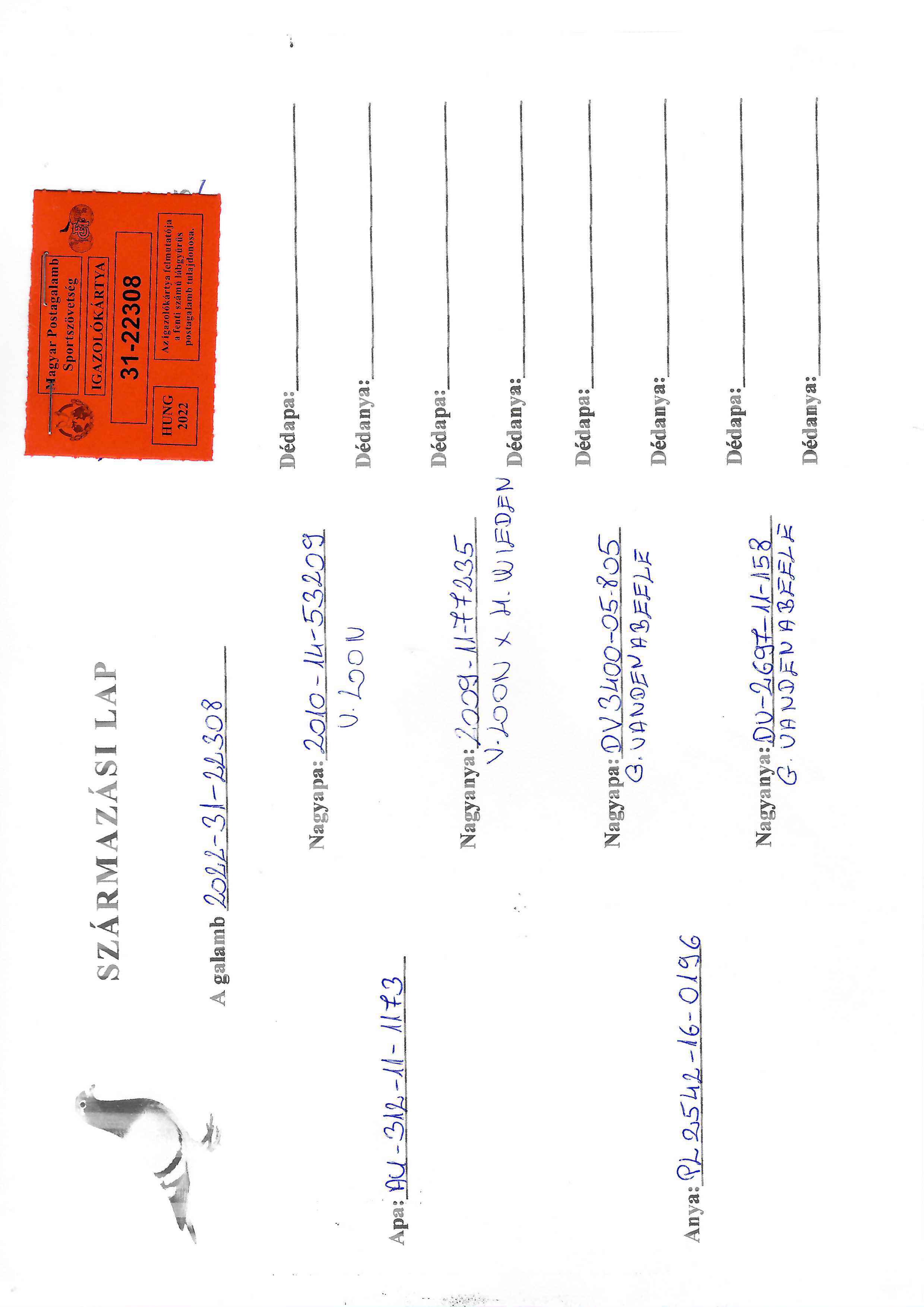 Pigeon pedigree image