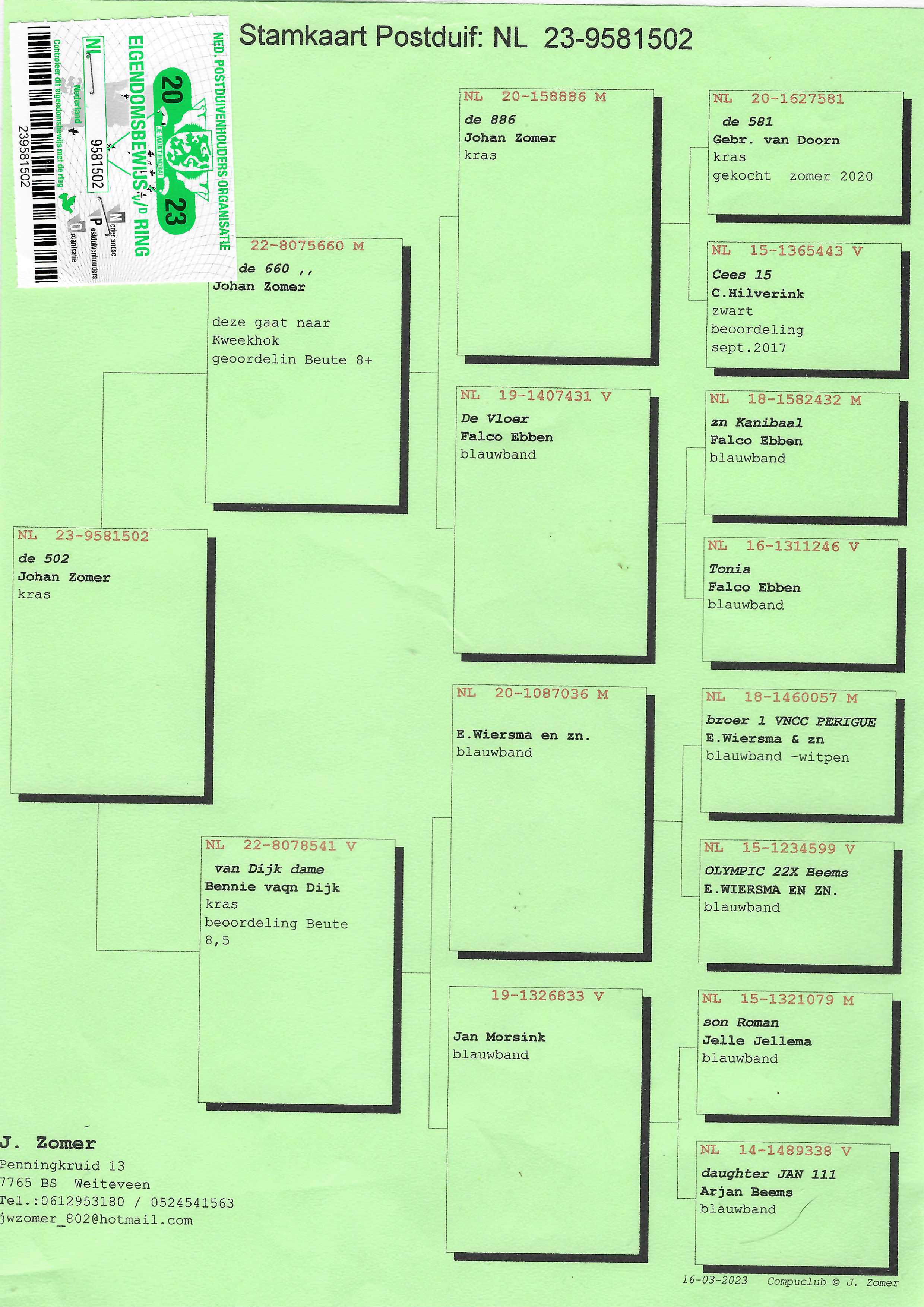 Pigeon pedigree image
